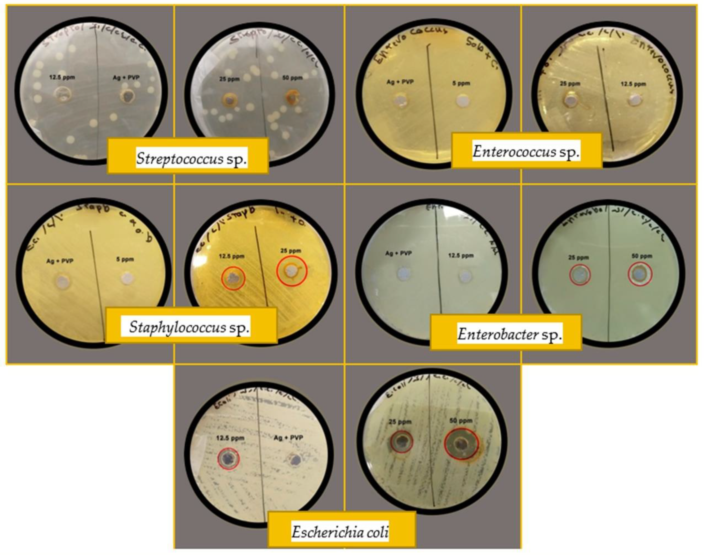Micromachines 13 00777 g009