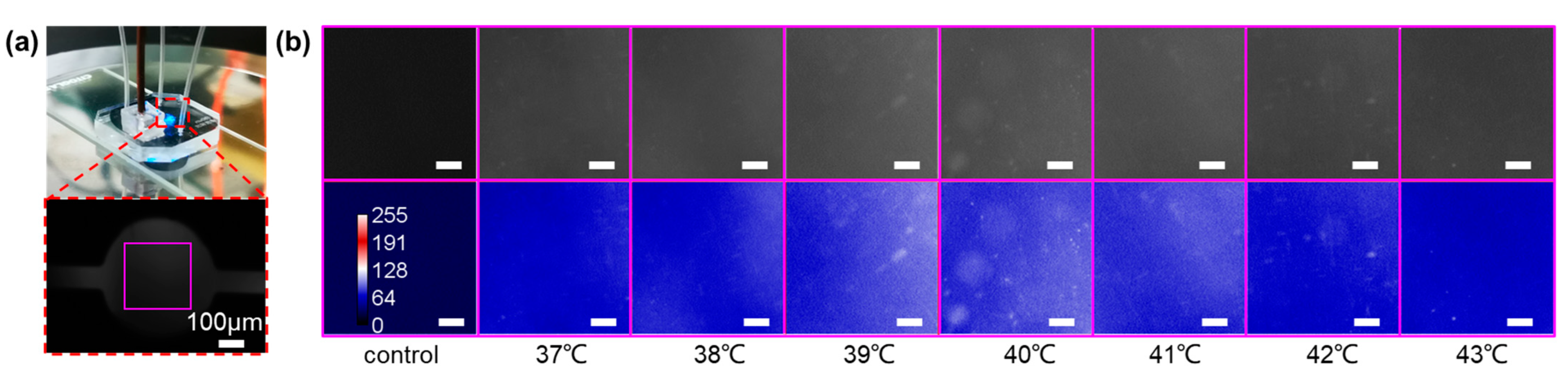 Micromachines 13 00792 g005