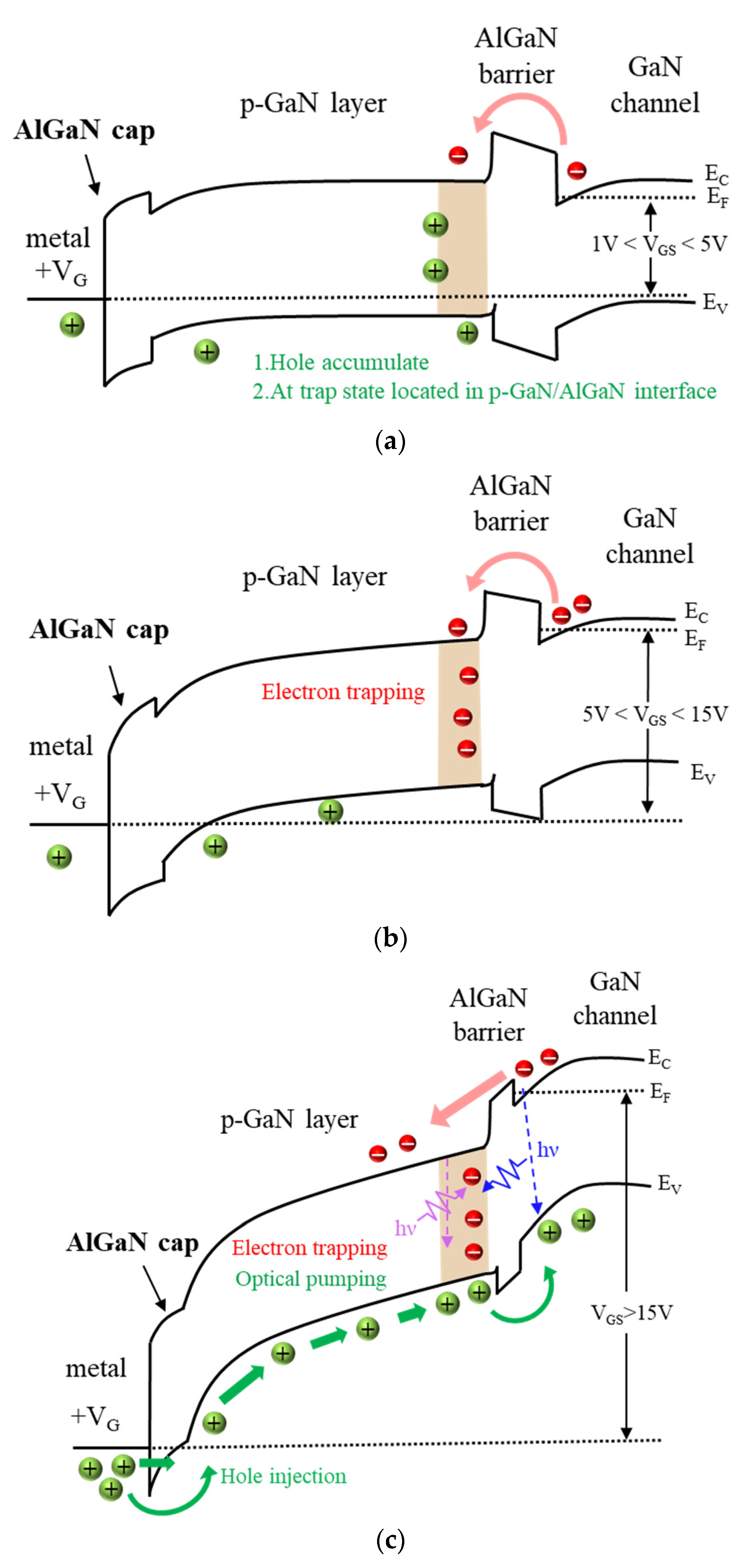 Micromachines 13 00807 g006