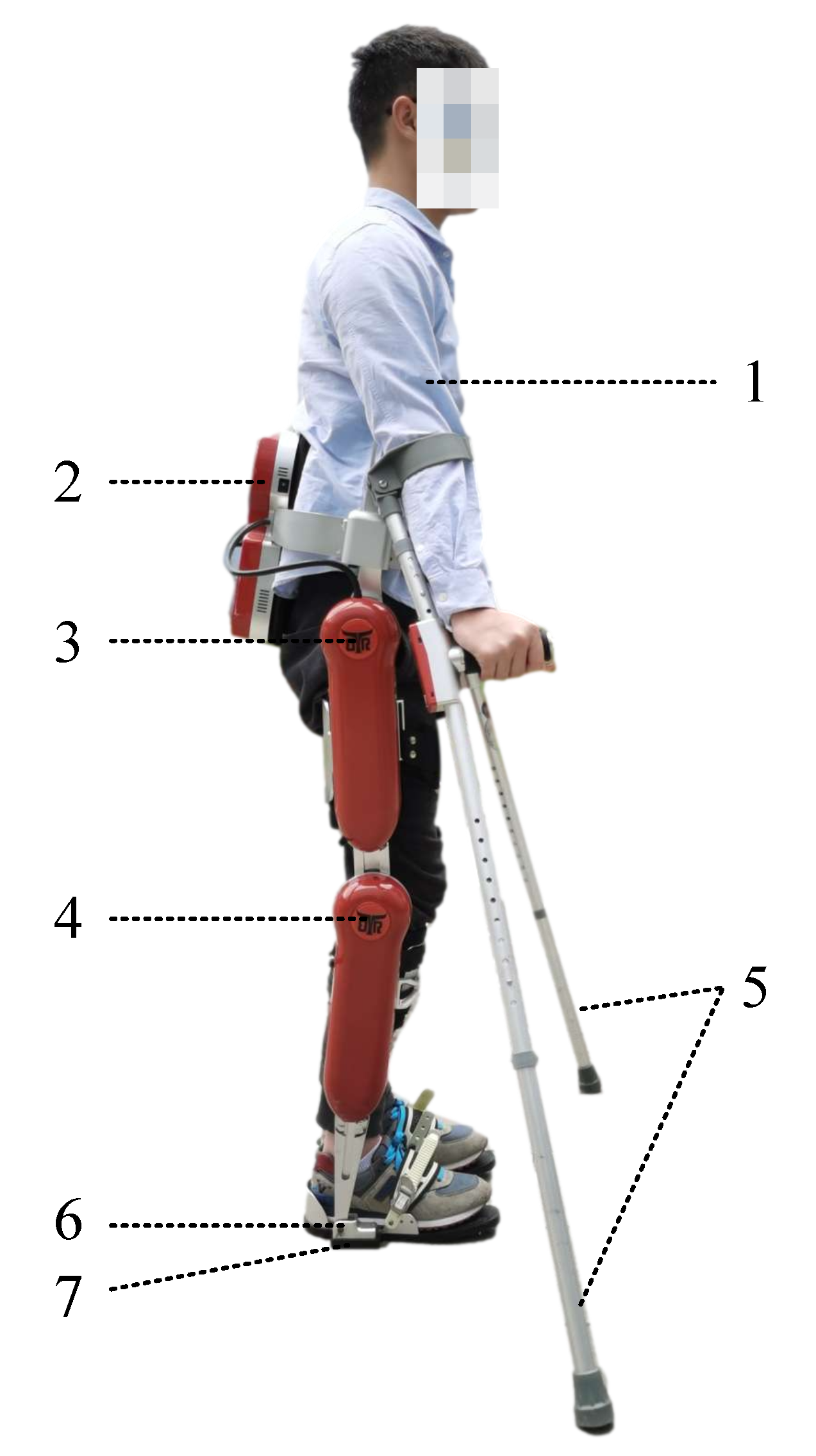 Micromachines 13 00816 g008