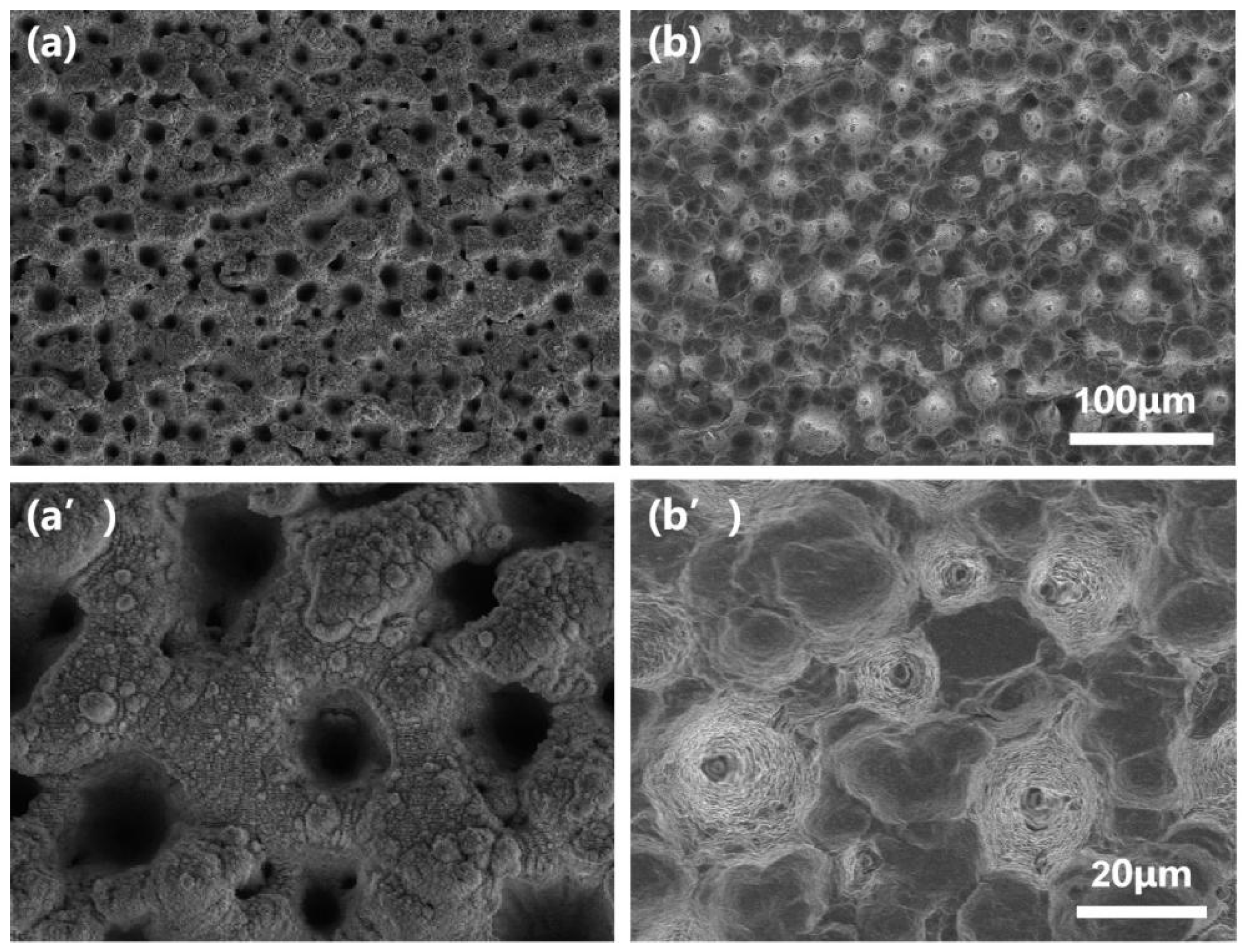 Micromachines 13 00821 g002