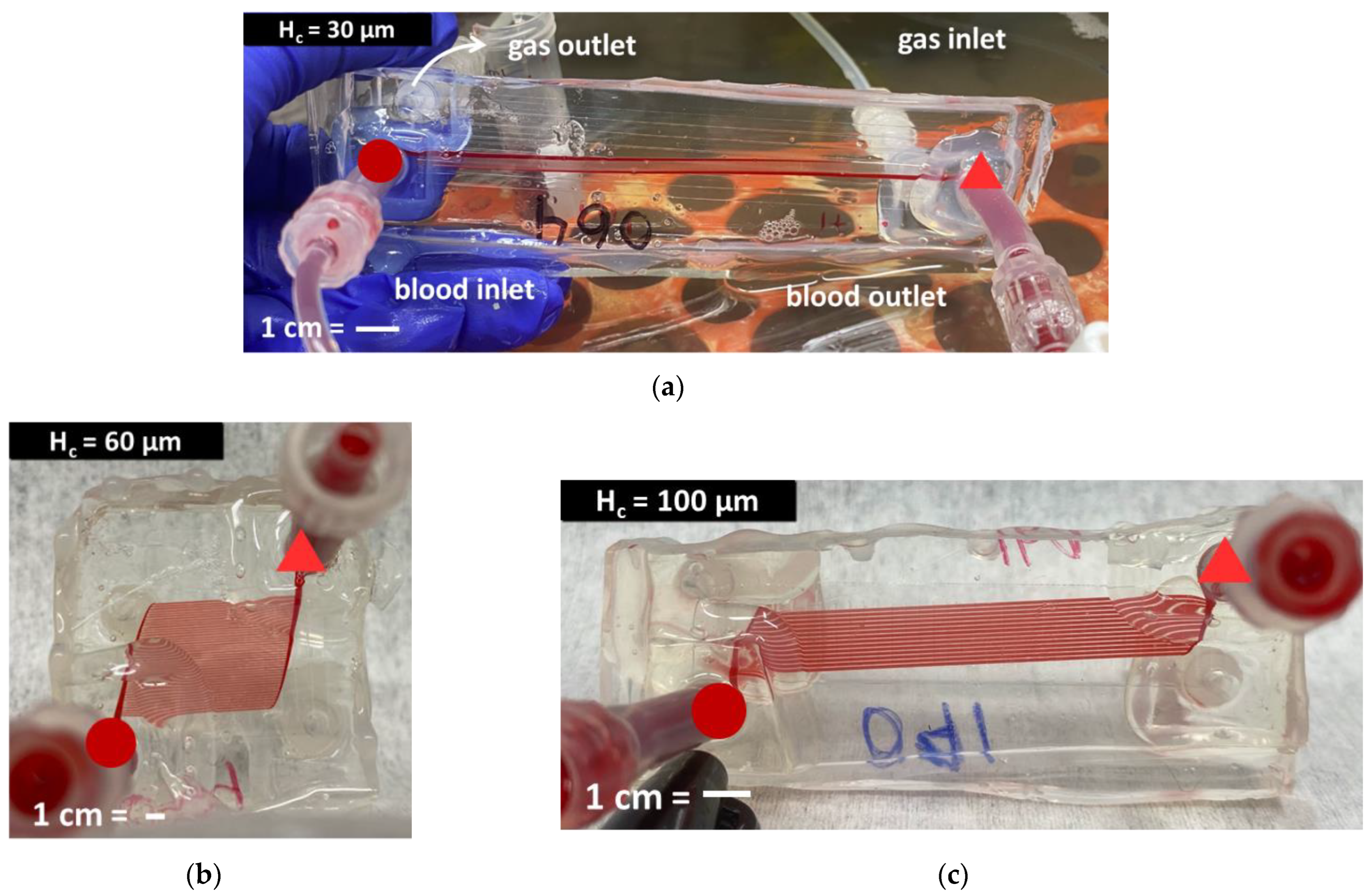 Micromachines 13 00822 g009