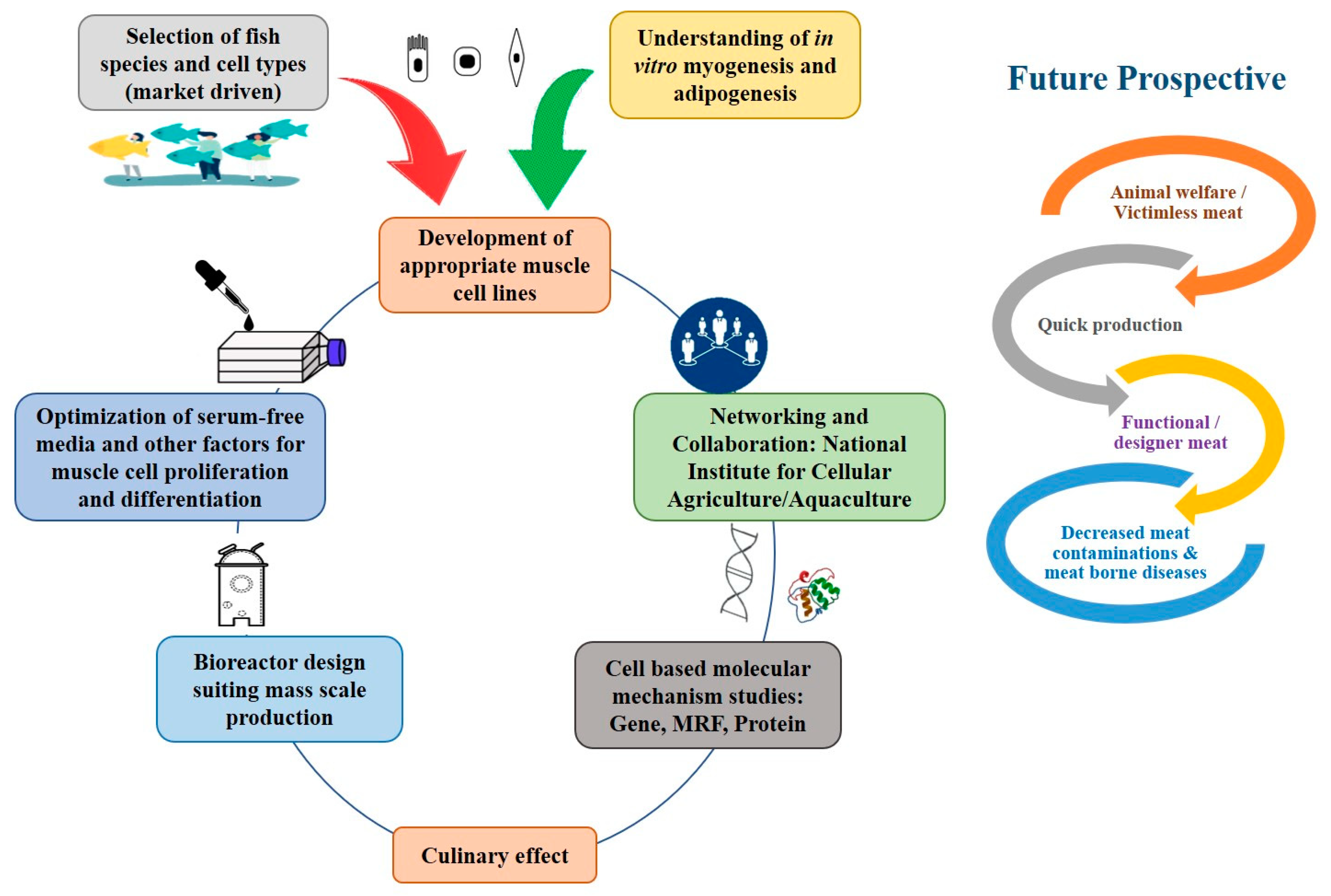 Micromachines 13 00828 g002