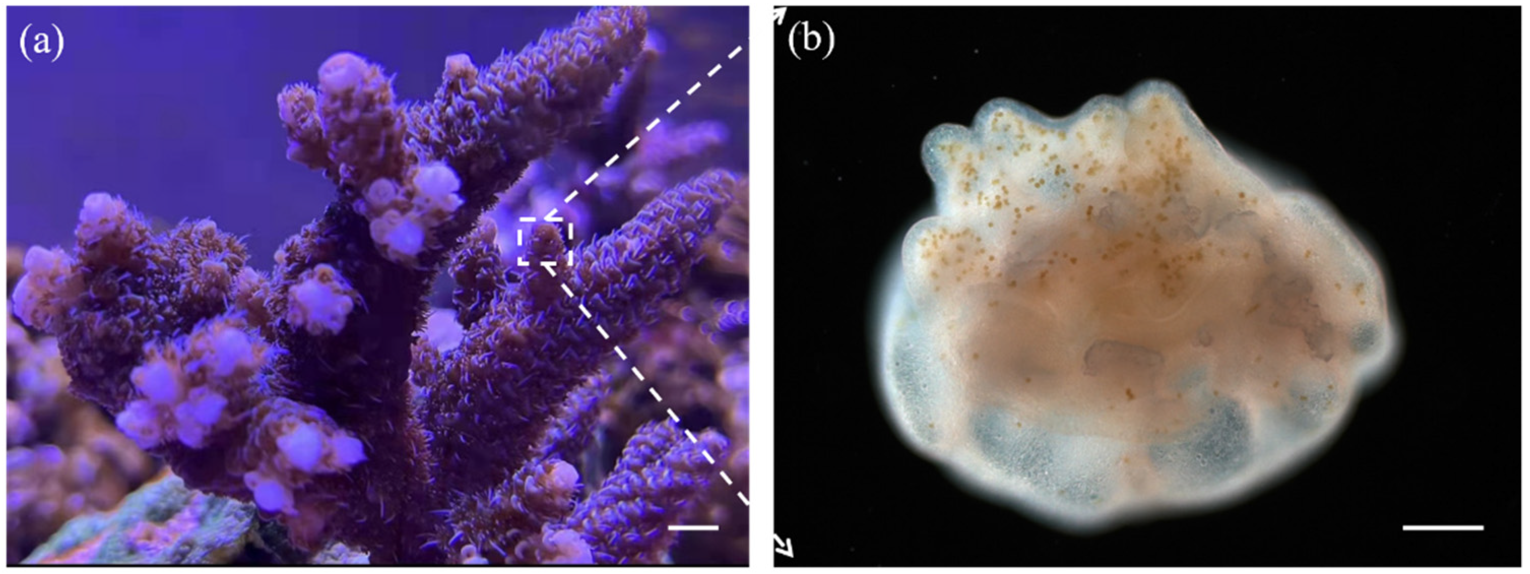 Micromachines 13 00832 g001