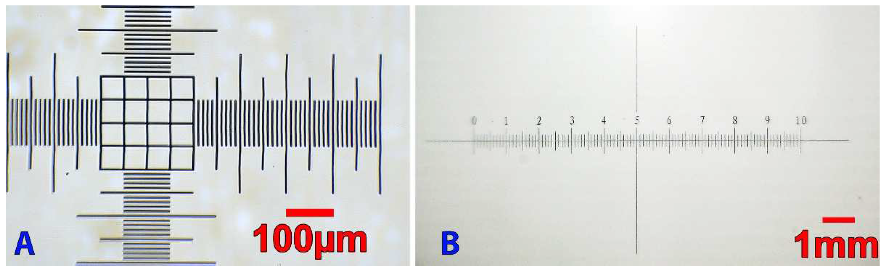 Micromachines 13 00833 g009