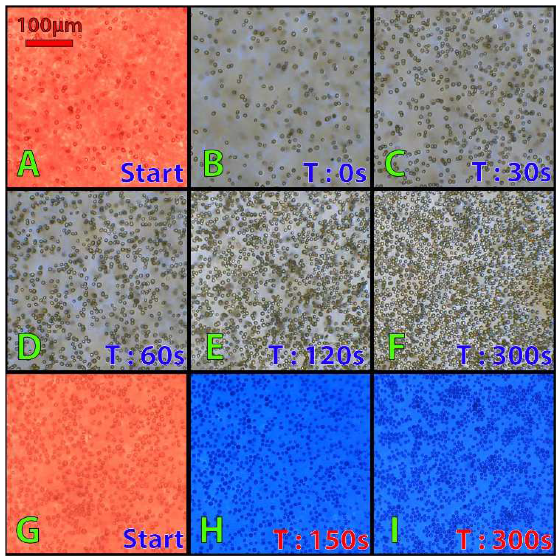 Micromachines 13 00833 g013