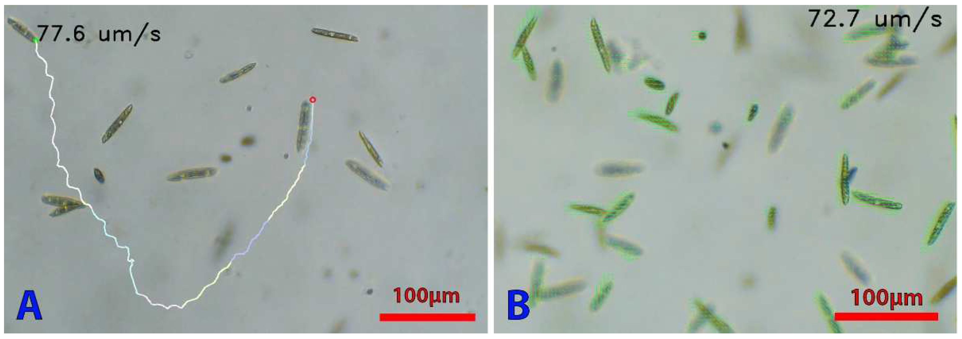 Micromachines 13 00833 g014