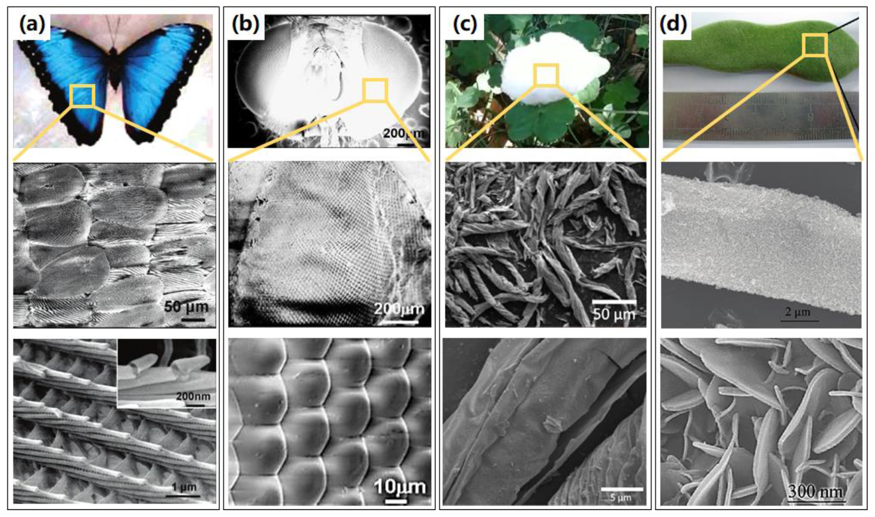 Micromachines 13 00856 g005 Micromachines 13 00856 g005