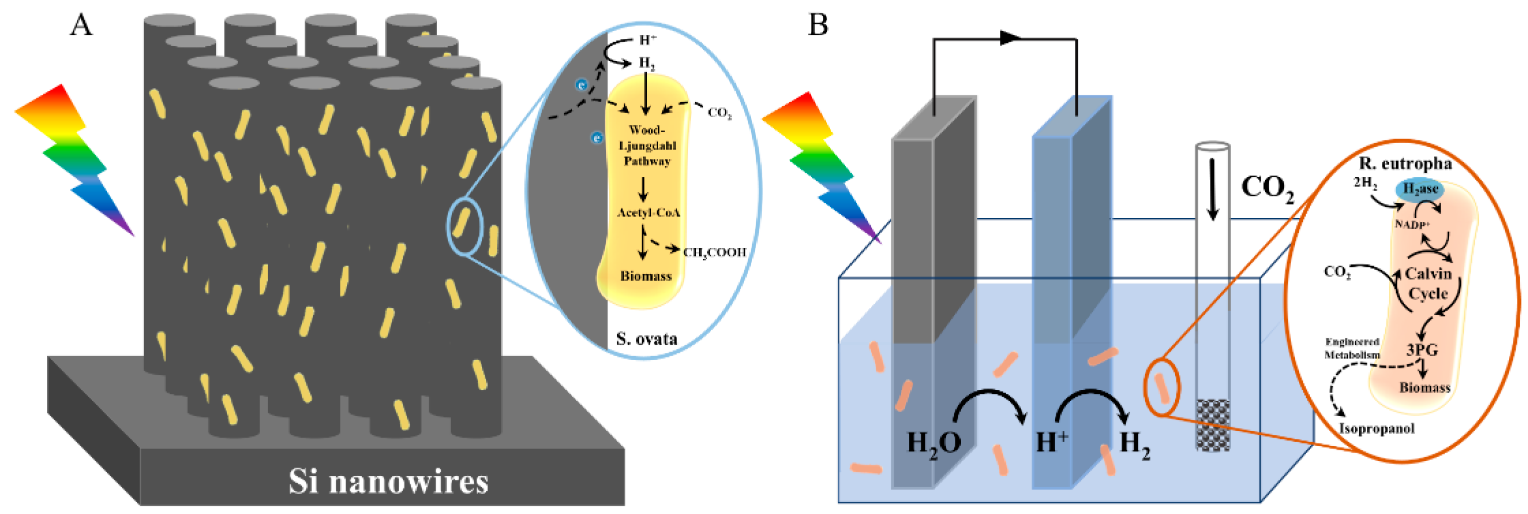 Micromachines 13 00861 g002