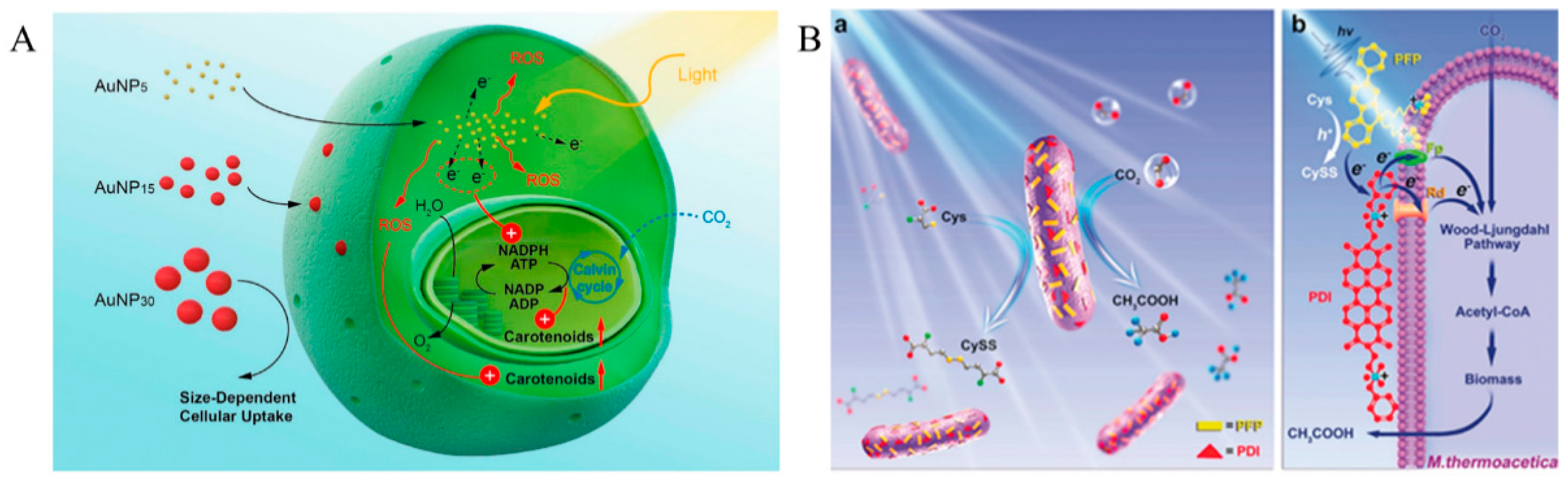 Micromachines 13 00861 g004