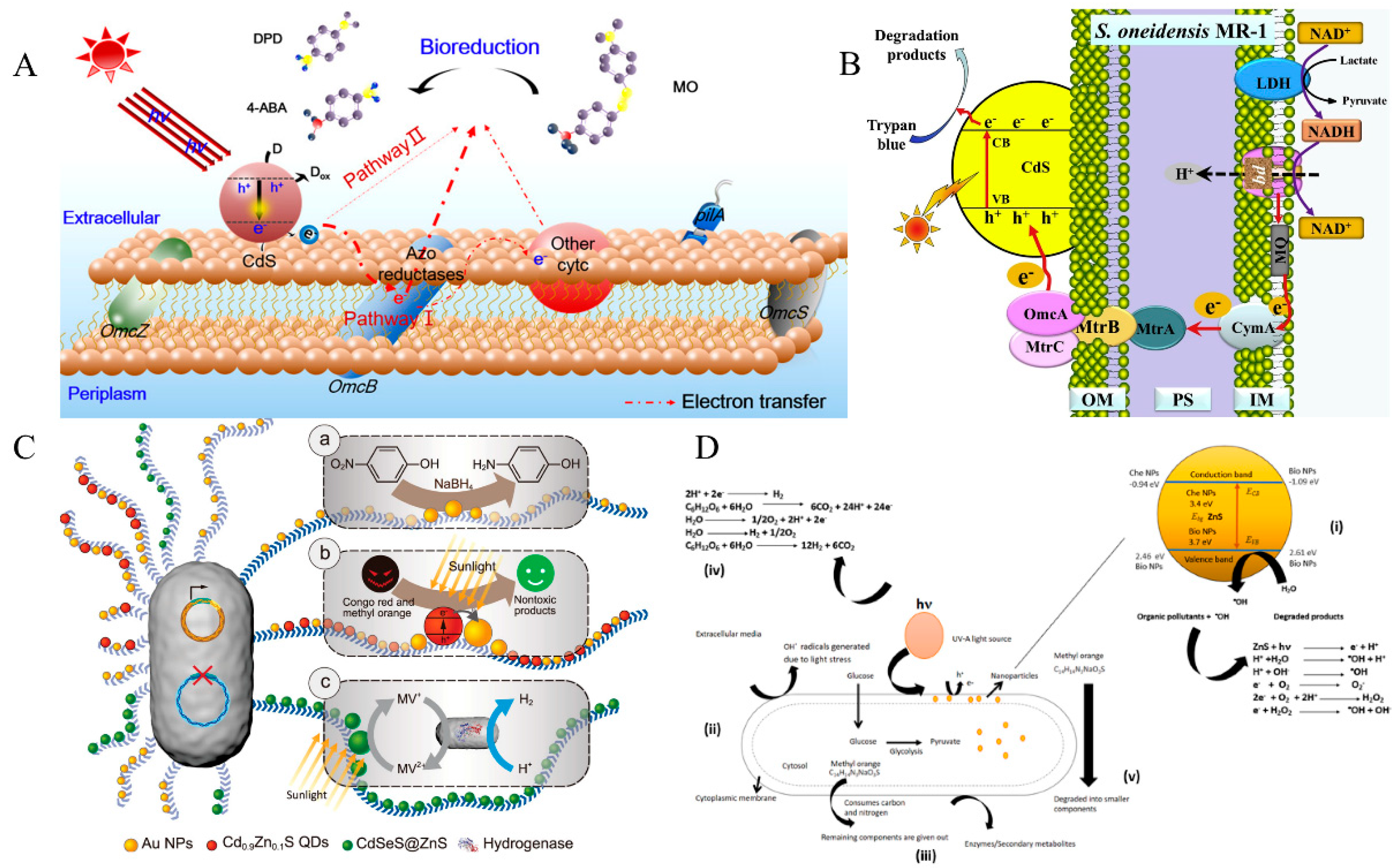 Micromachines 13 00861 g005