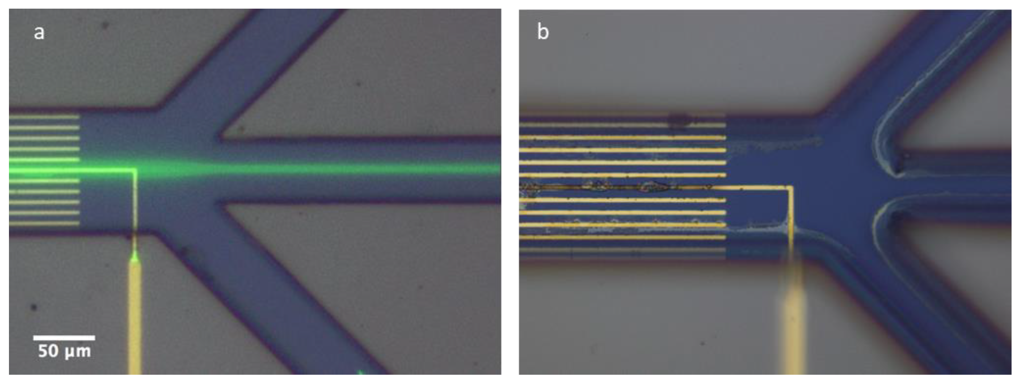 Micromachines 13 00866 g010