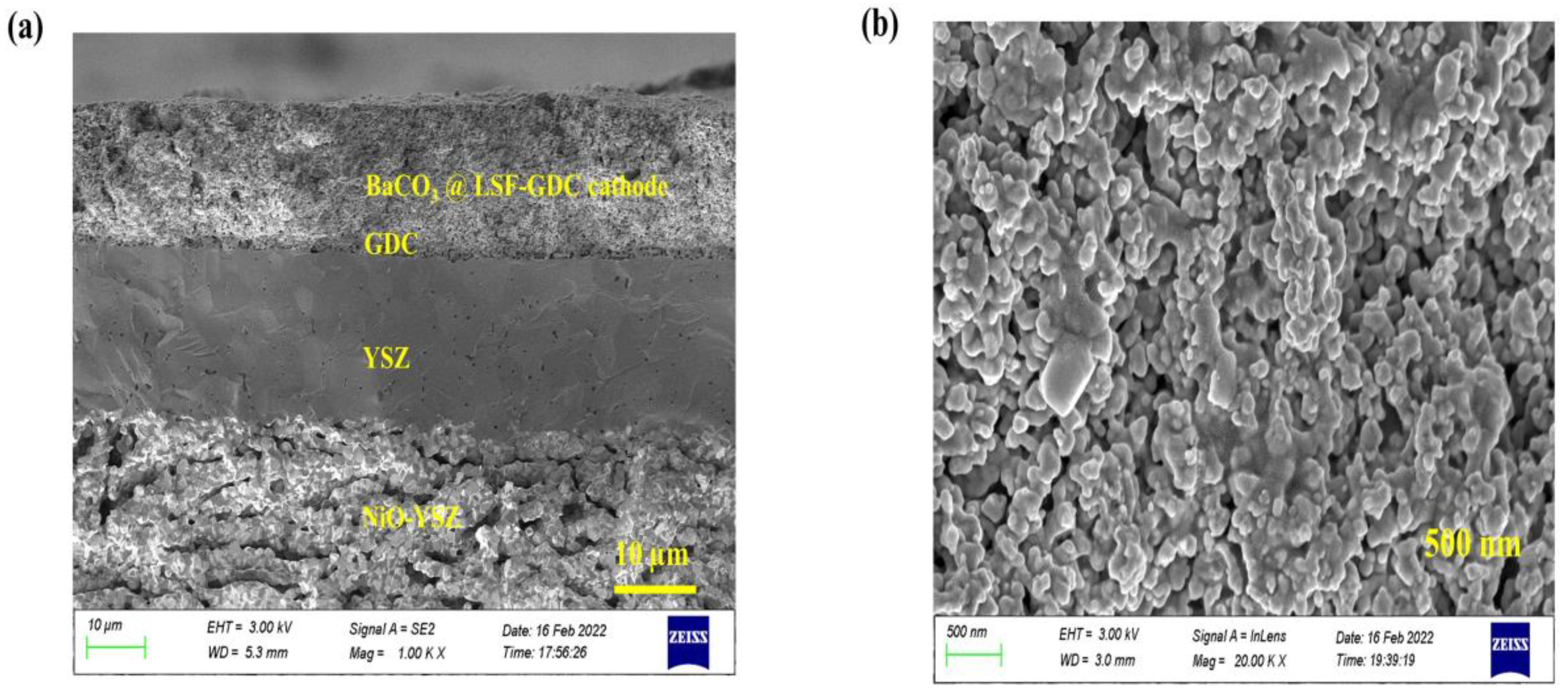 Micromachines 13 00884 g003