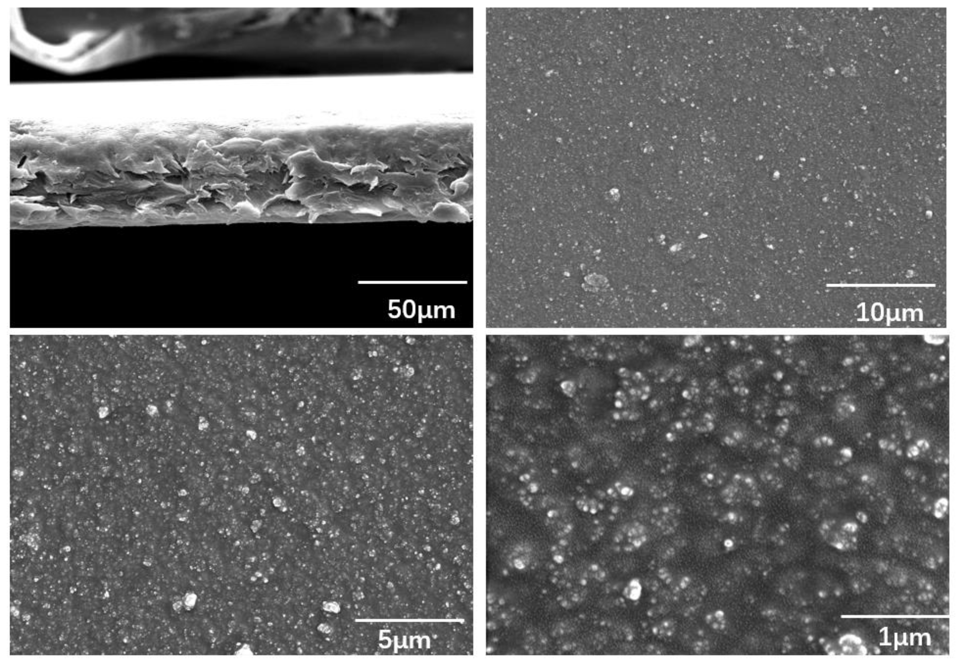 Micromachines 13 00889 g004