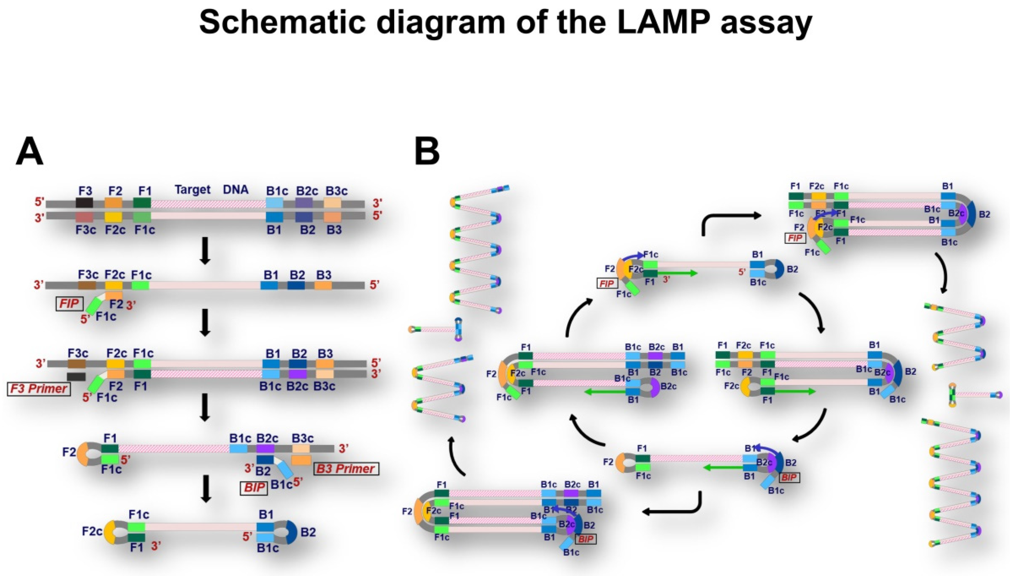 Micromachines 13 00897 g002