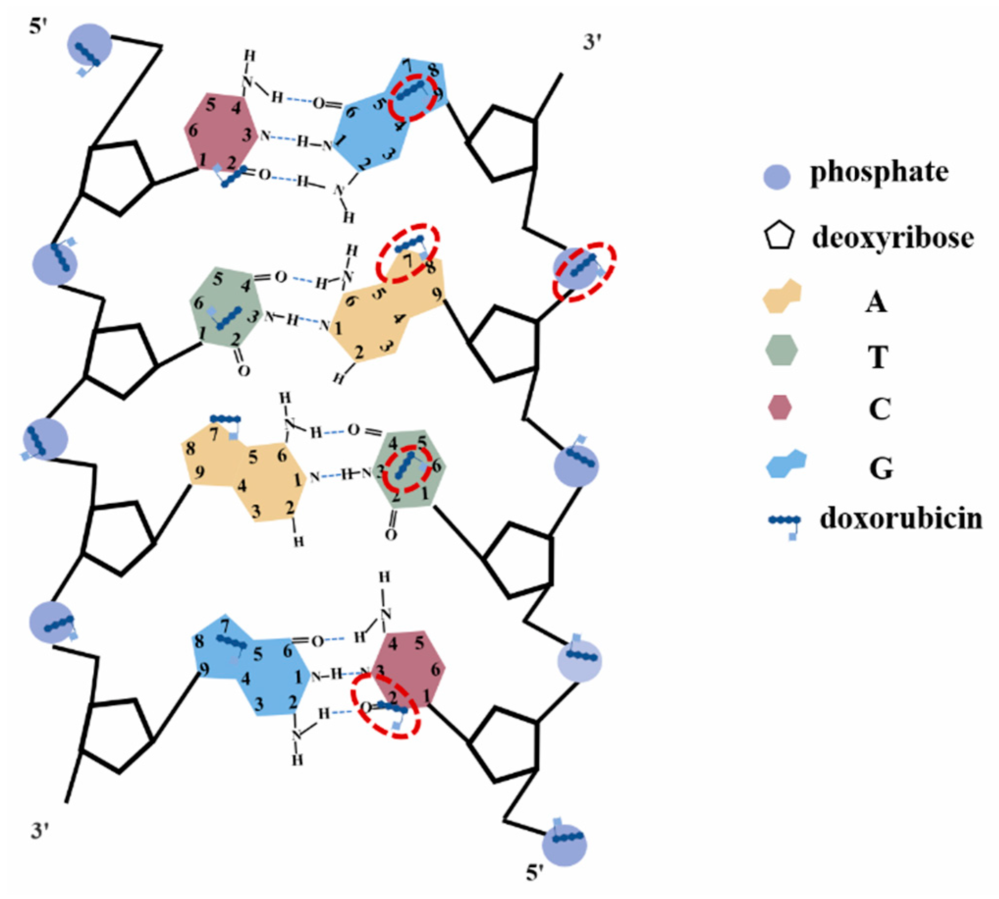 Micromachines 13 00940 g007