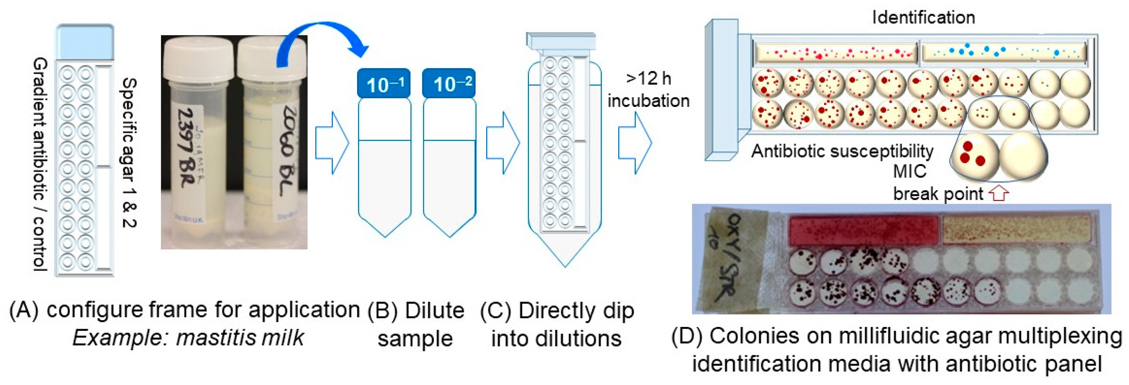 Micromachines 13 00941 g002