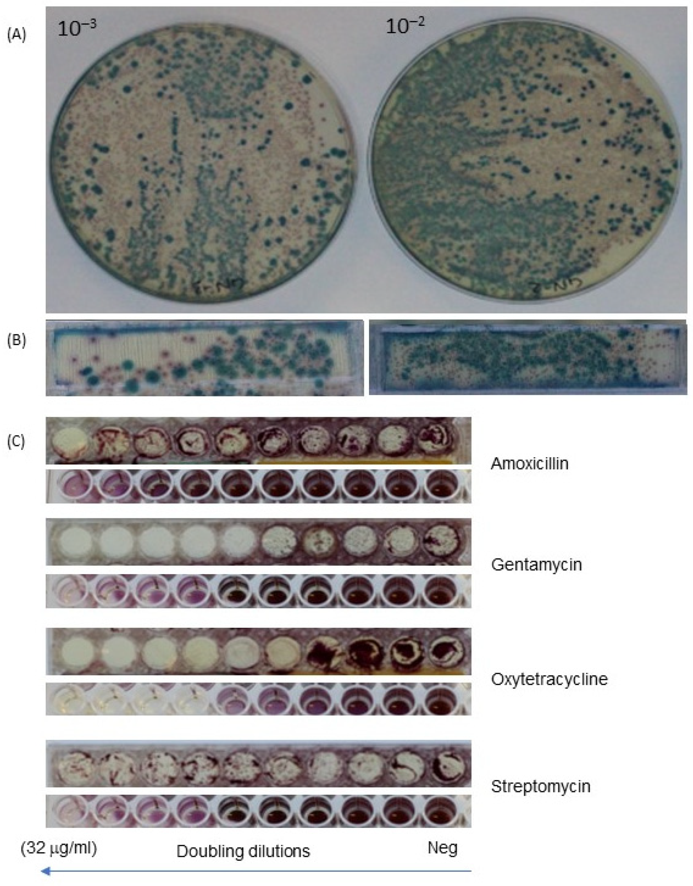 Micromachines 13 00941 g005