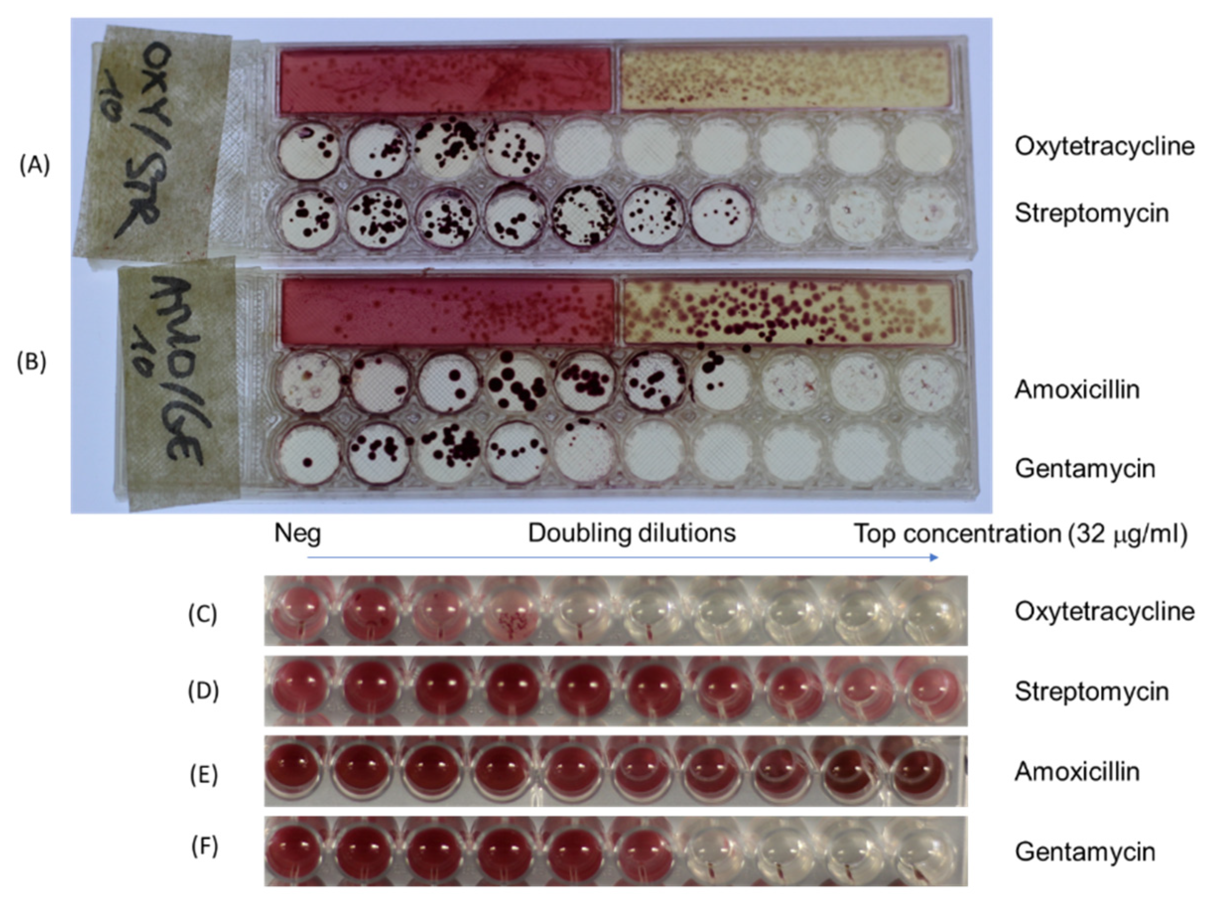Micromachines 13 00941 g006