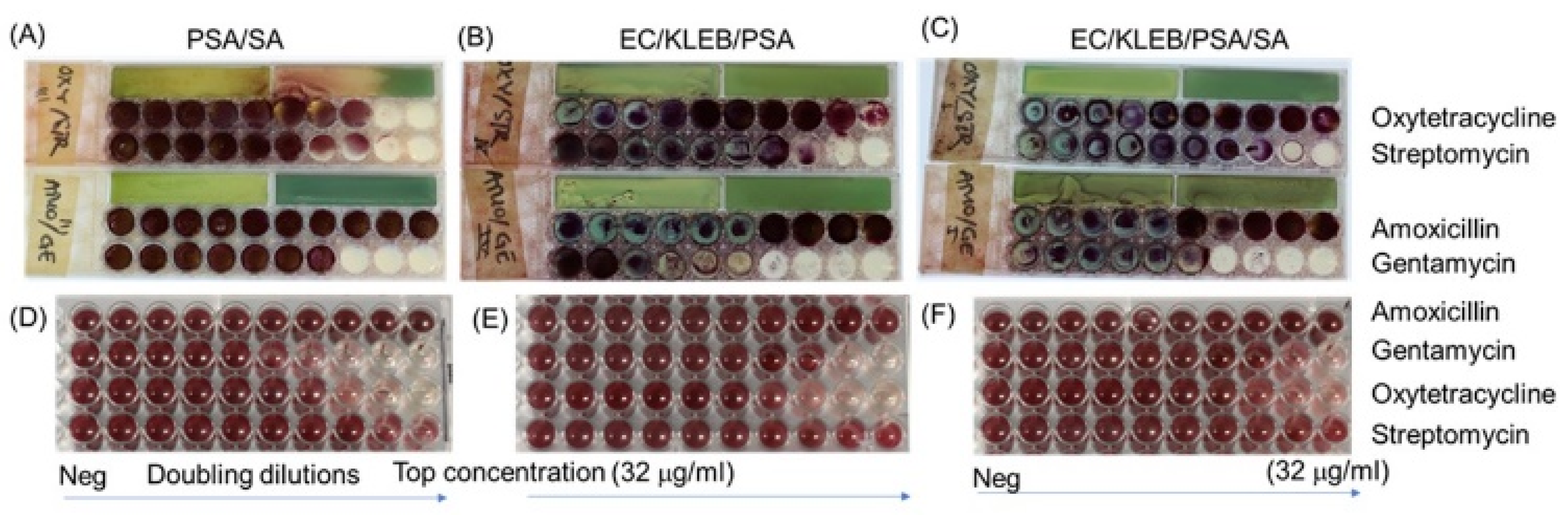 Micromachines 13 00941 g007