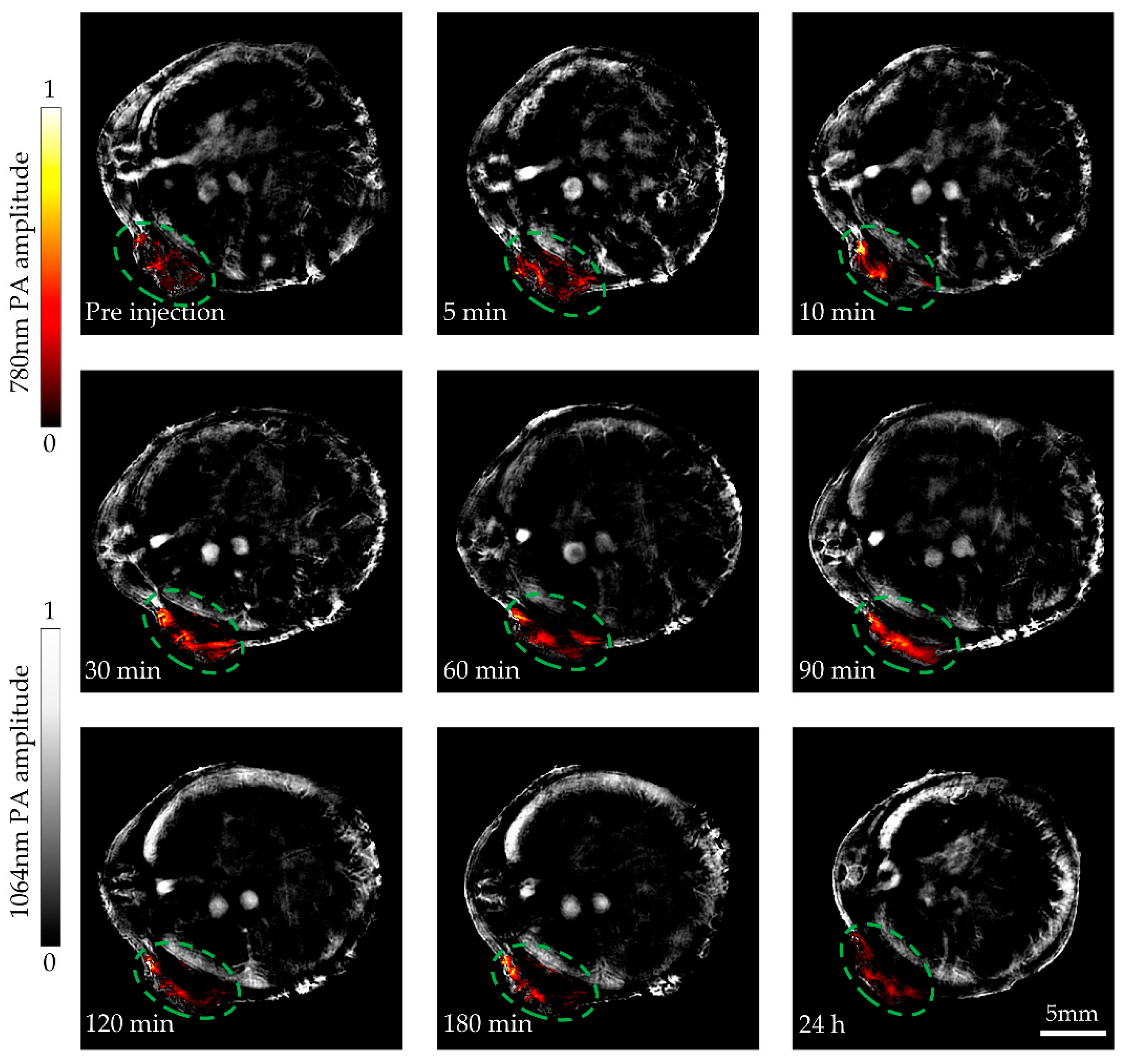 Micromachines 13 00946 g008