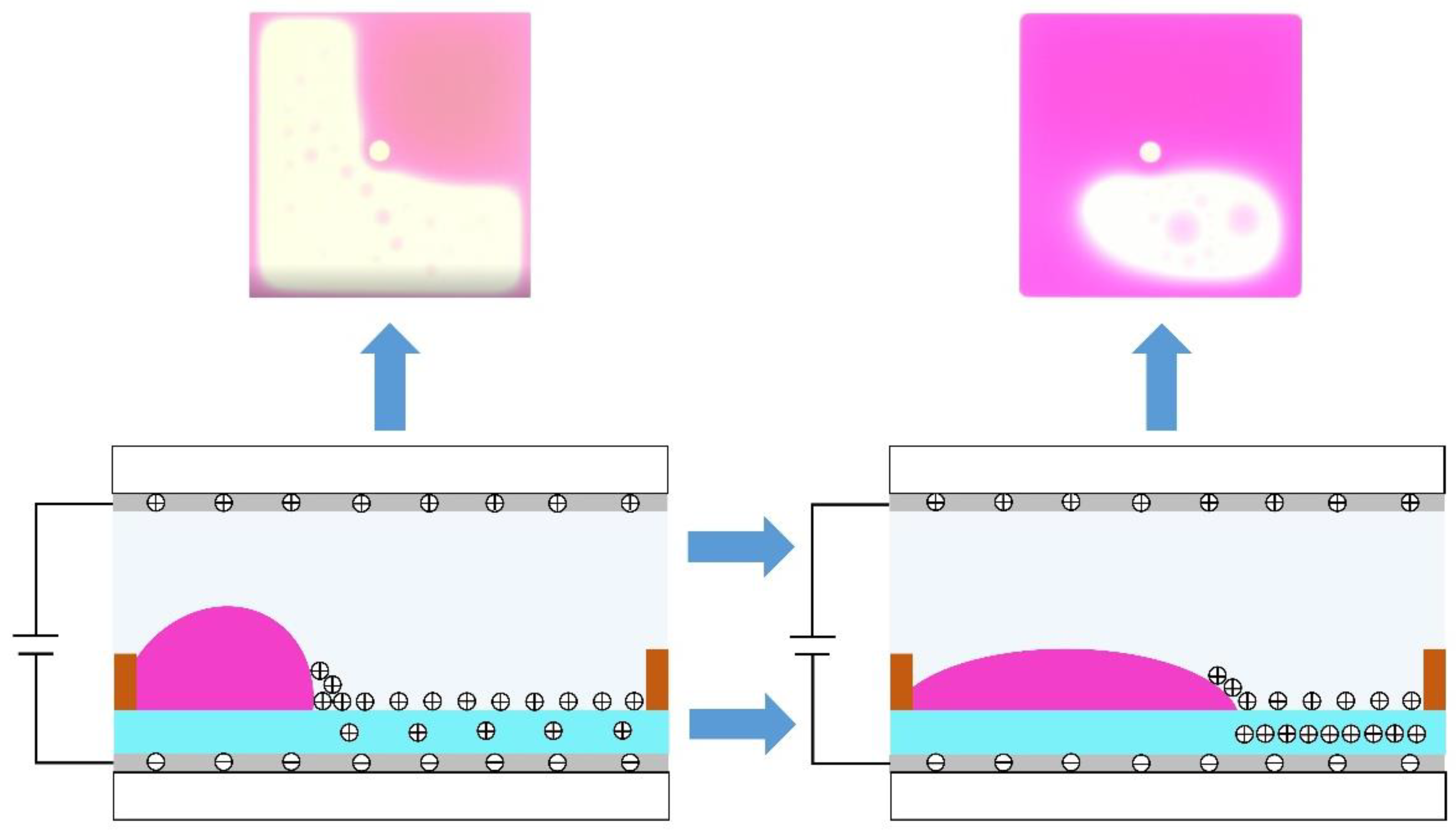 Micromachines 13 00948 g002