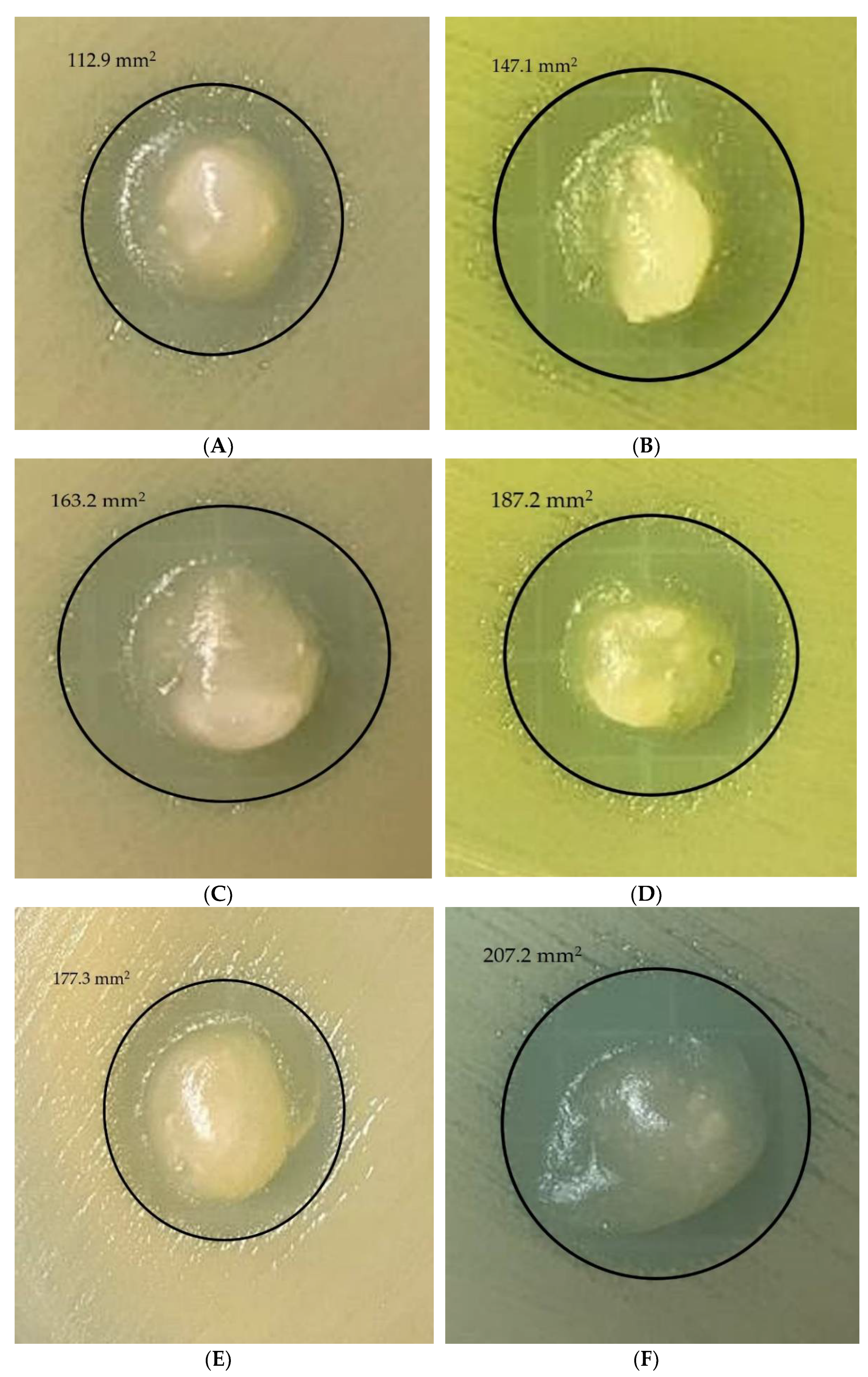 Micromachines 13 00960 g006a
