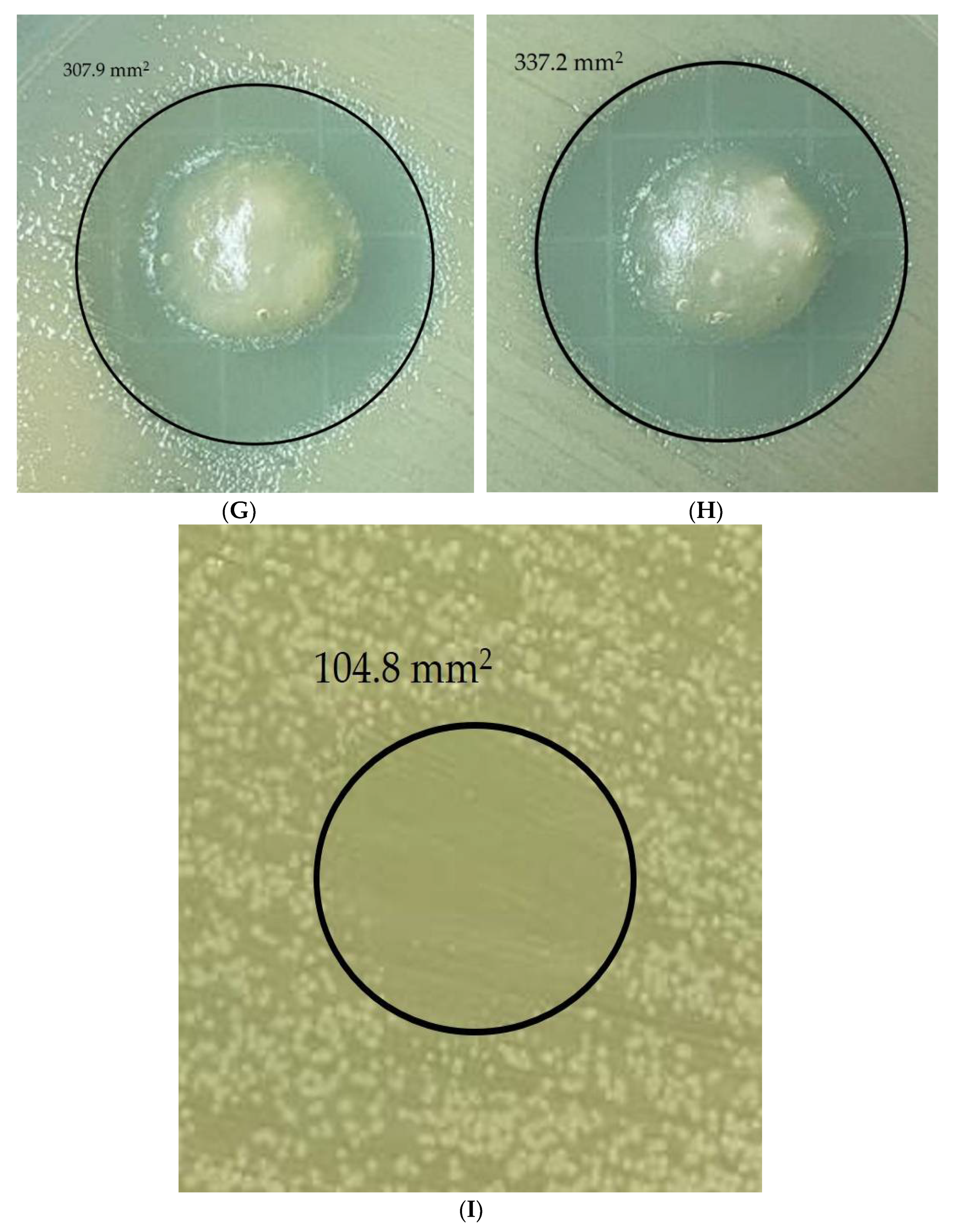 Micromachines 13 00960 g006b