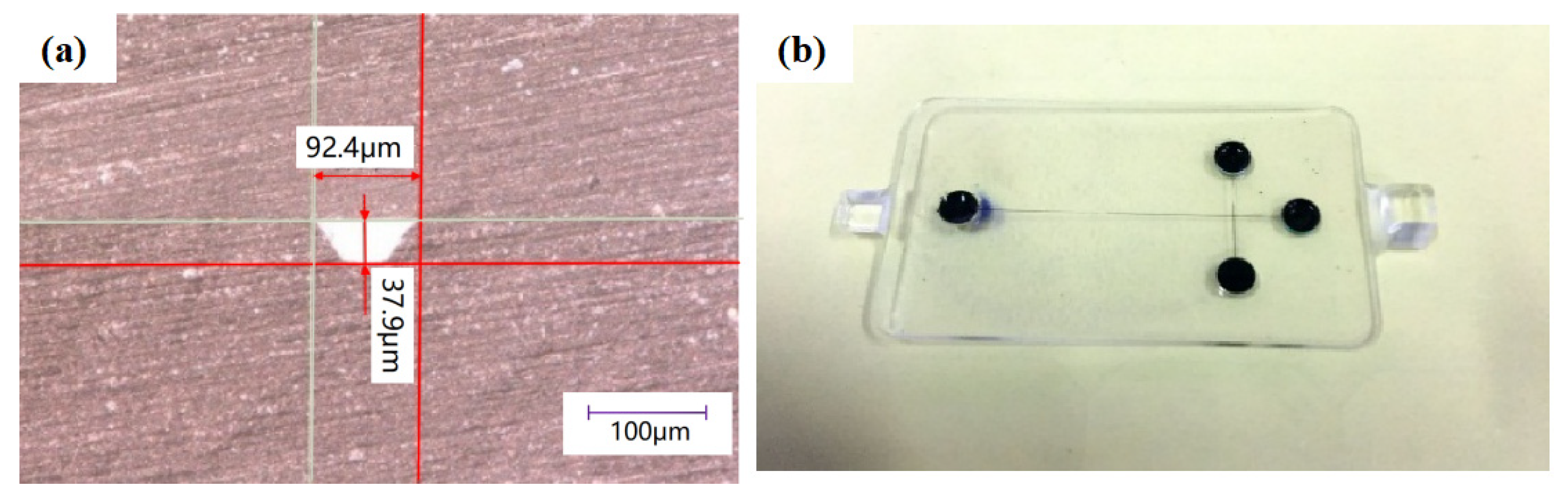 Micromachines 13 00965 g010