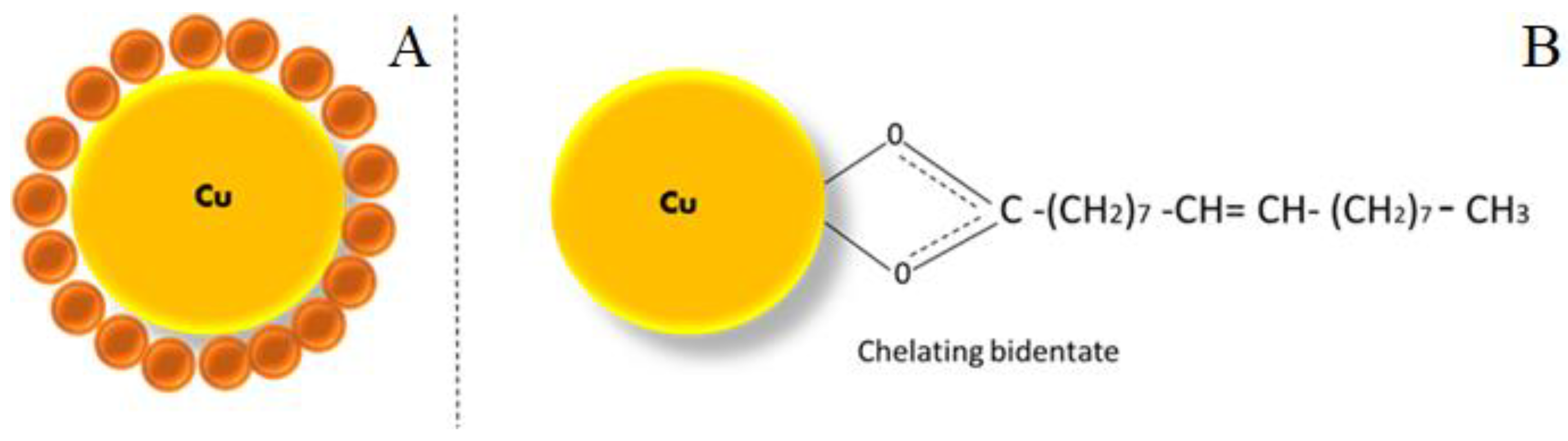 Micromachines 13 00969 g006