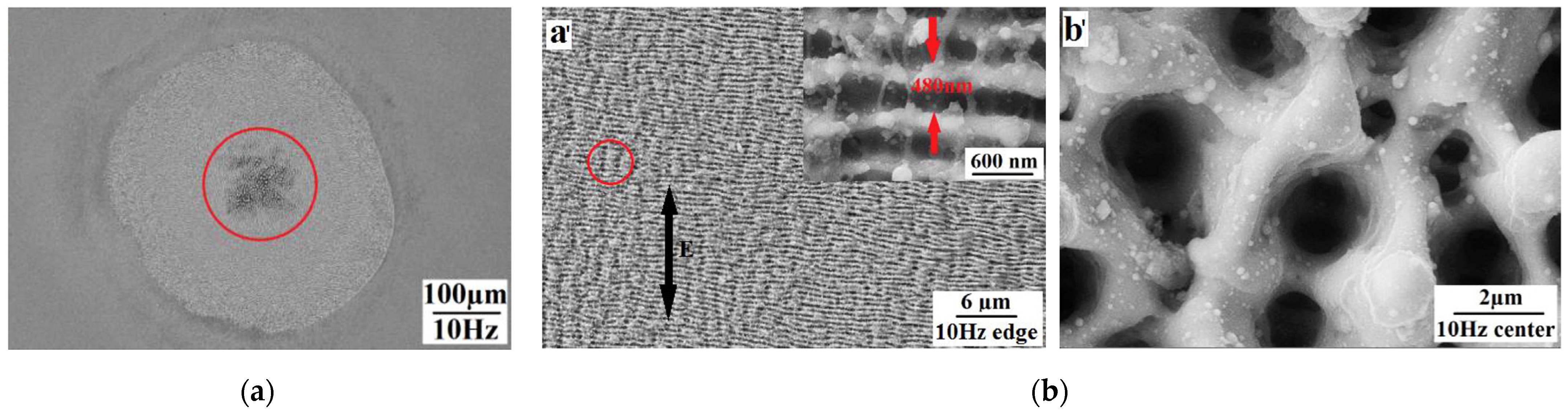 Micromachines 13 00976 g006
