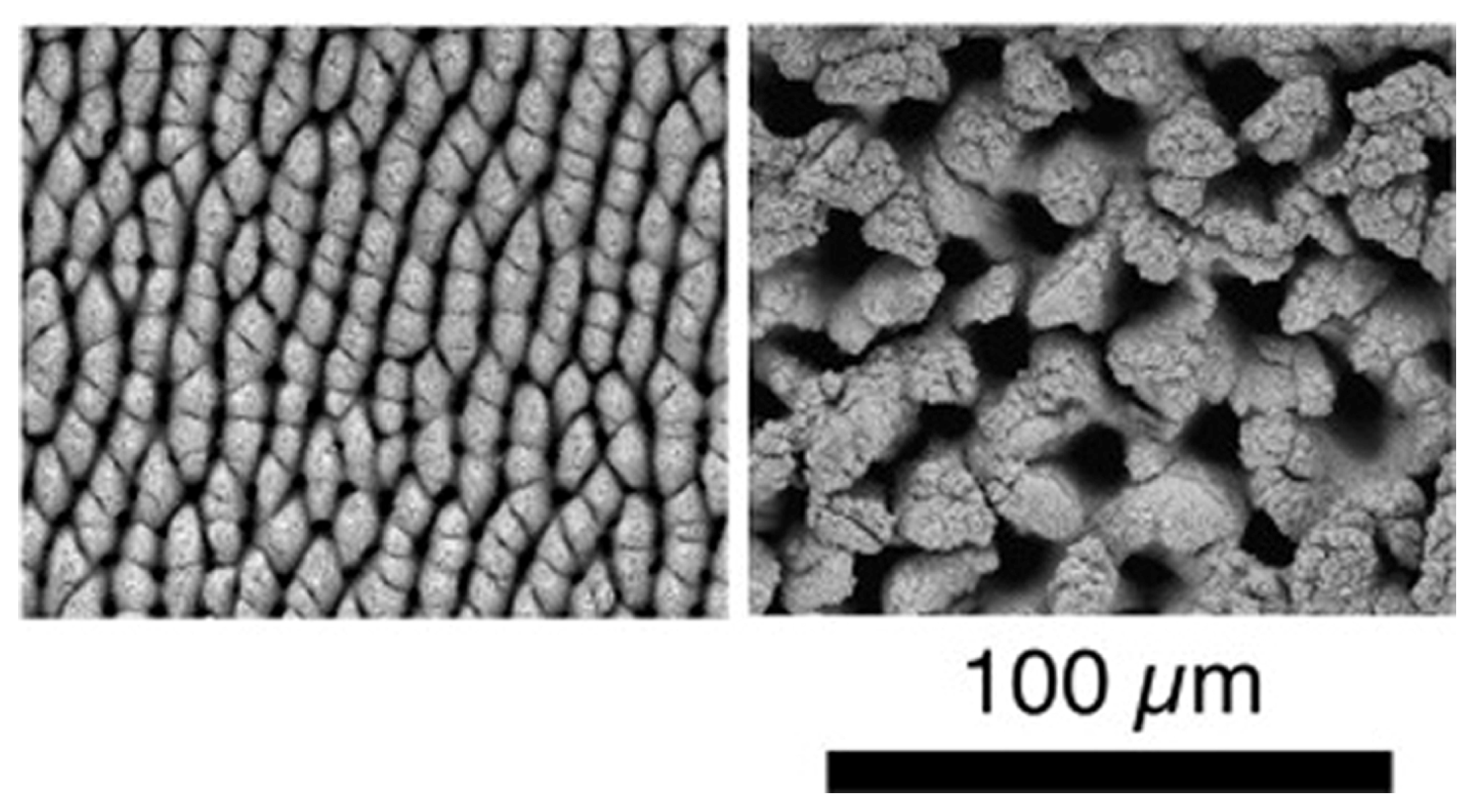 Micromachines 13 00976 g009
