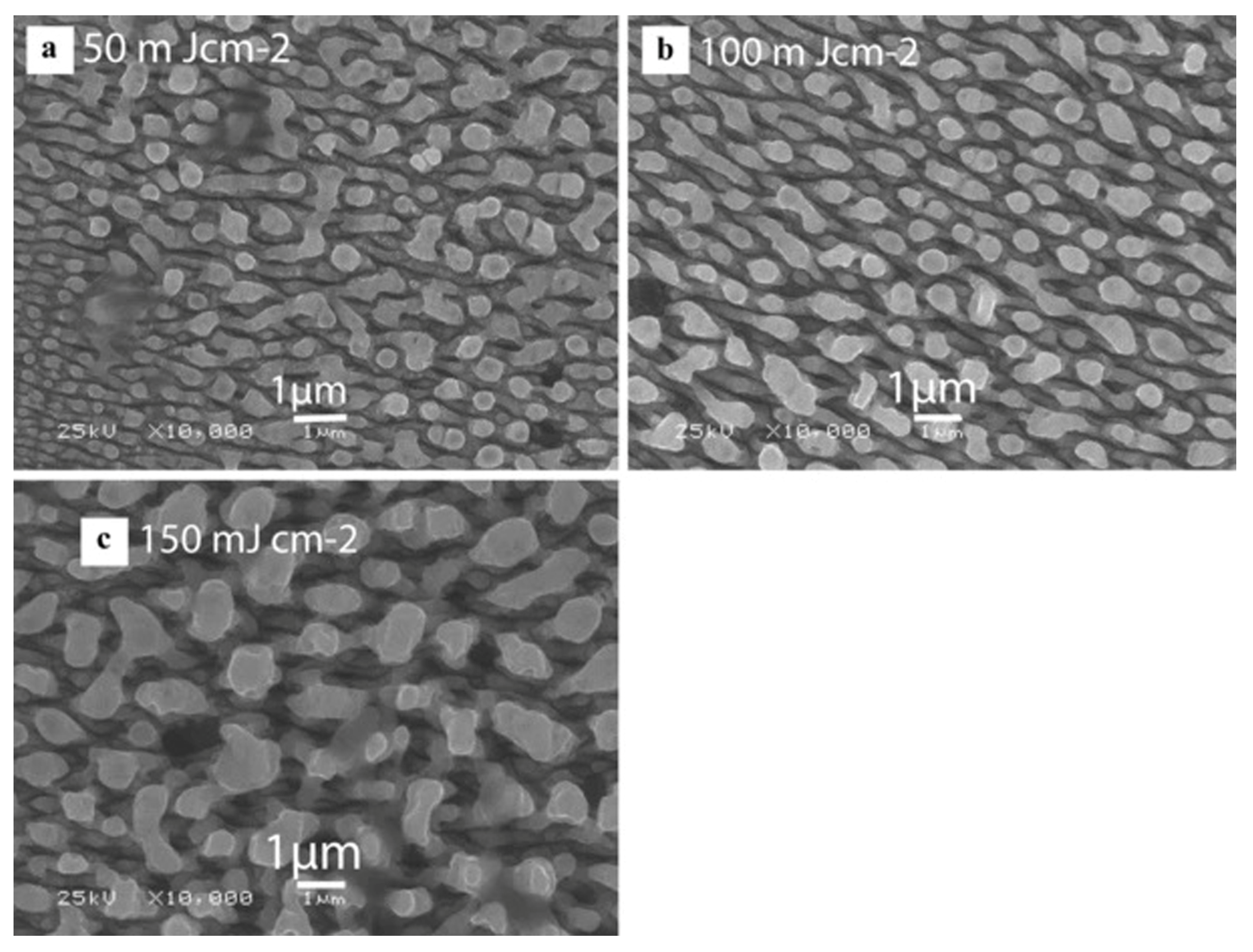 Micromachines 13 00976 g010