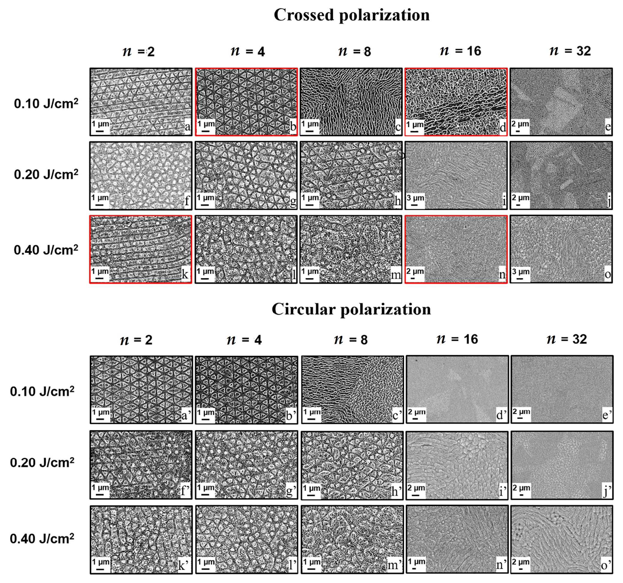 Micromachines 13 00976 g012