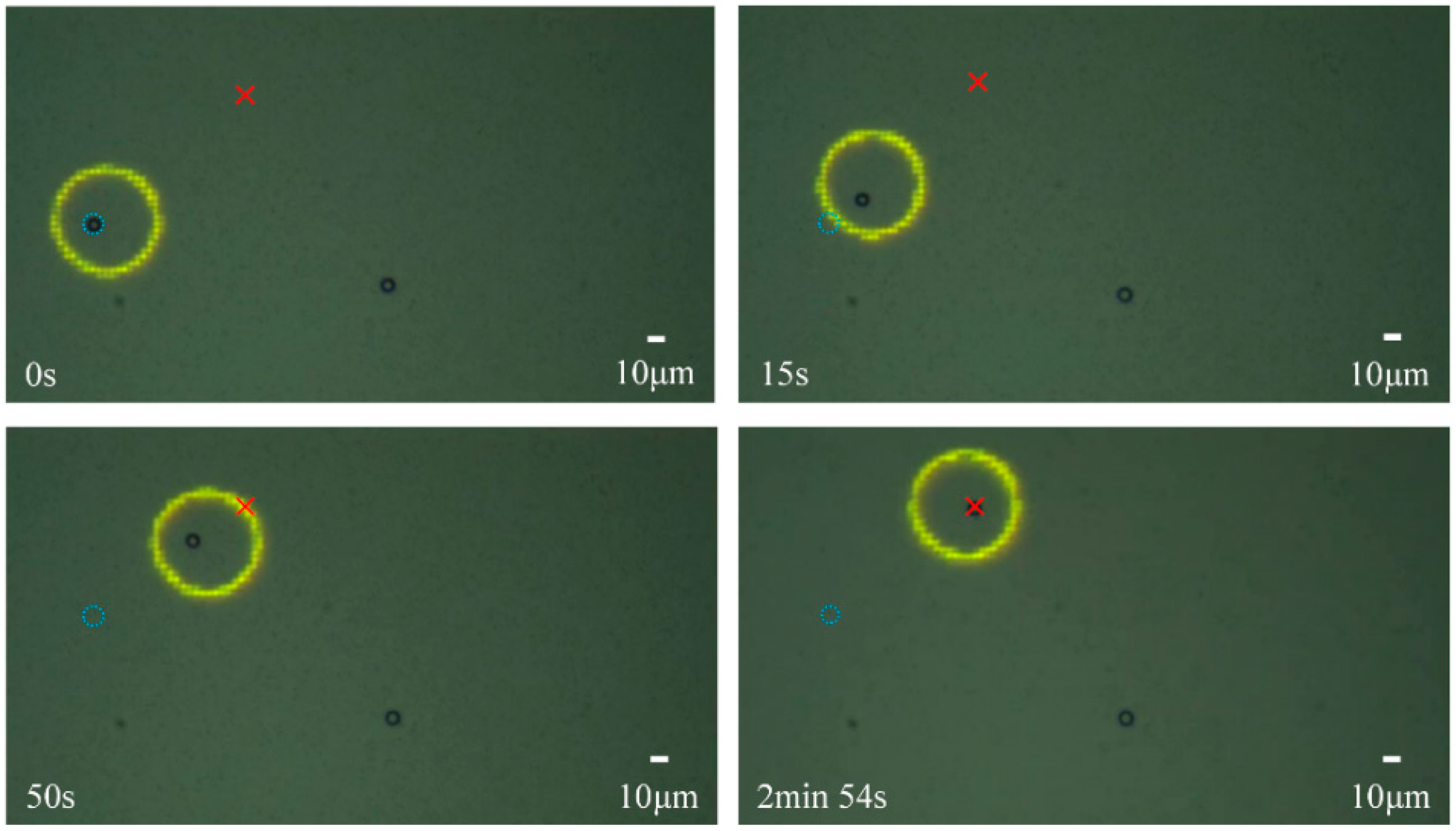 Micromachines 13 00985 g006