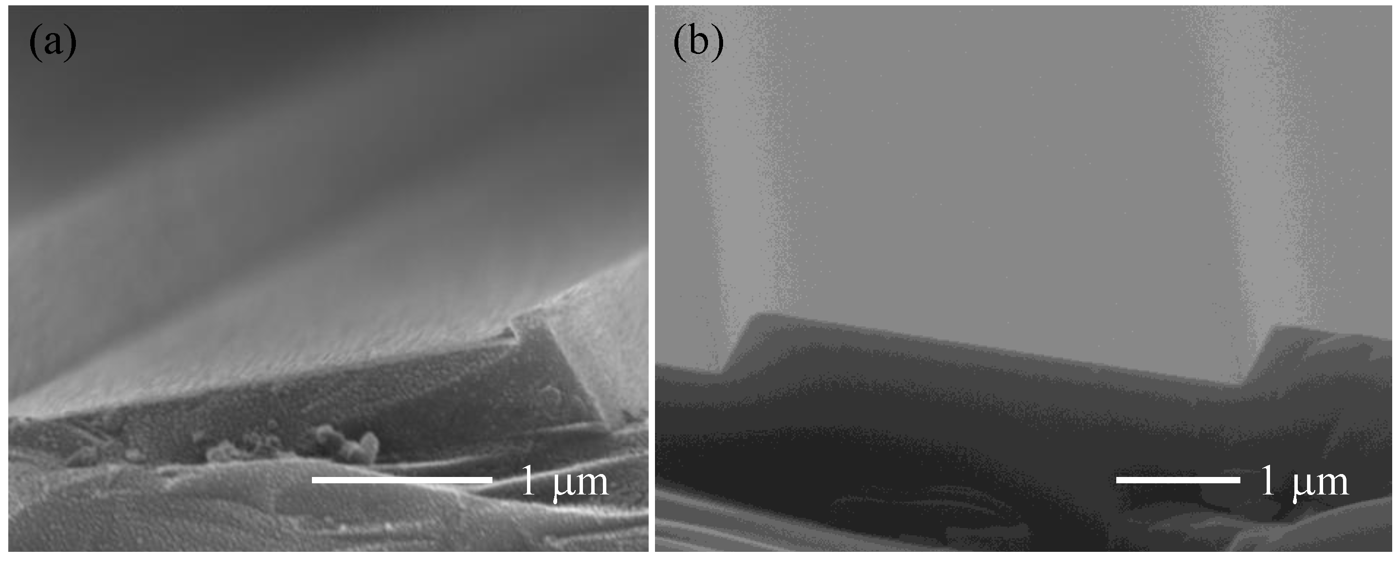 Micromachines 13 01000 g007