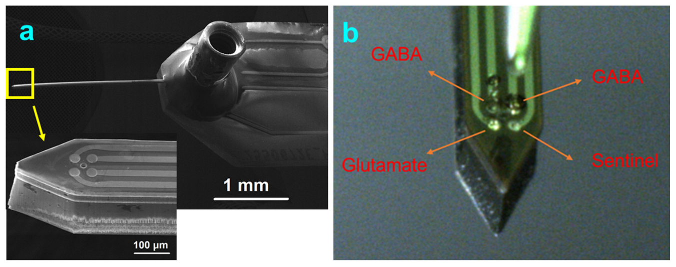Micromachines 13 01008 g001