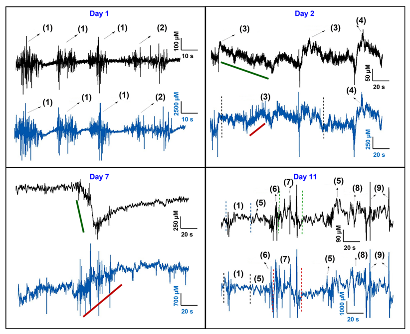 Micromachines 13 01008 g006