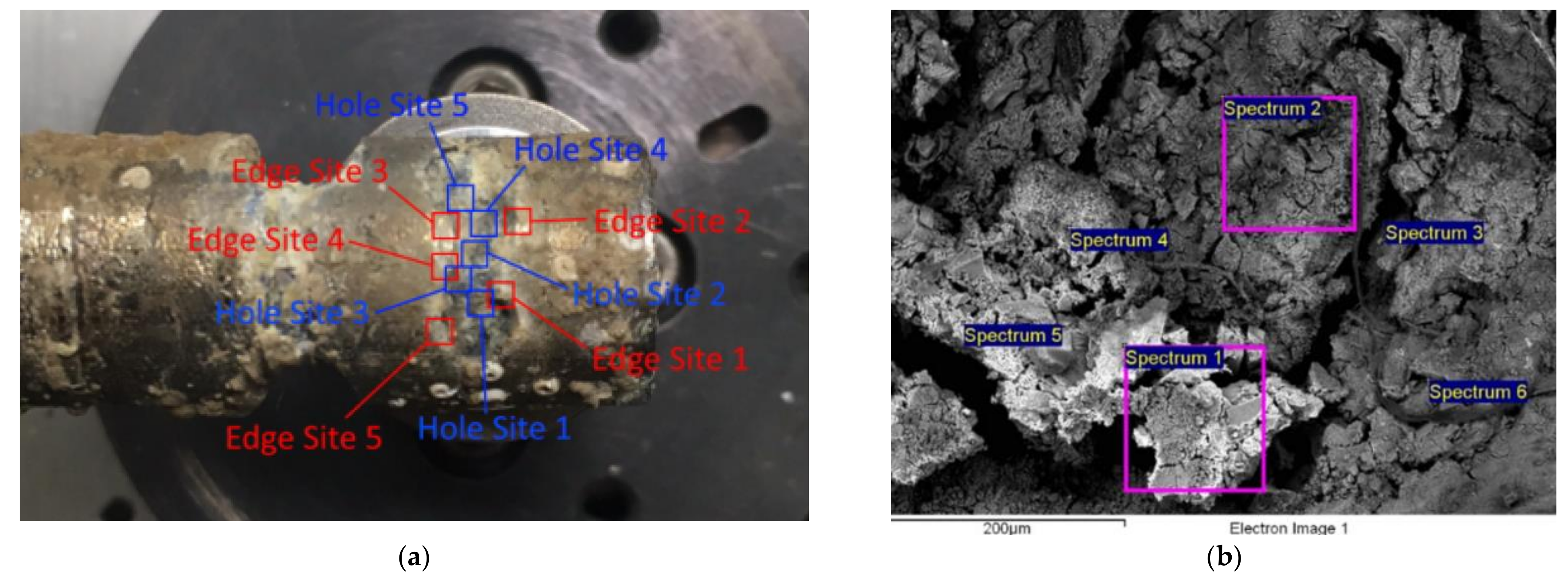 Micromachines 13 01031 g006