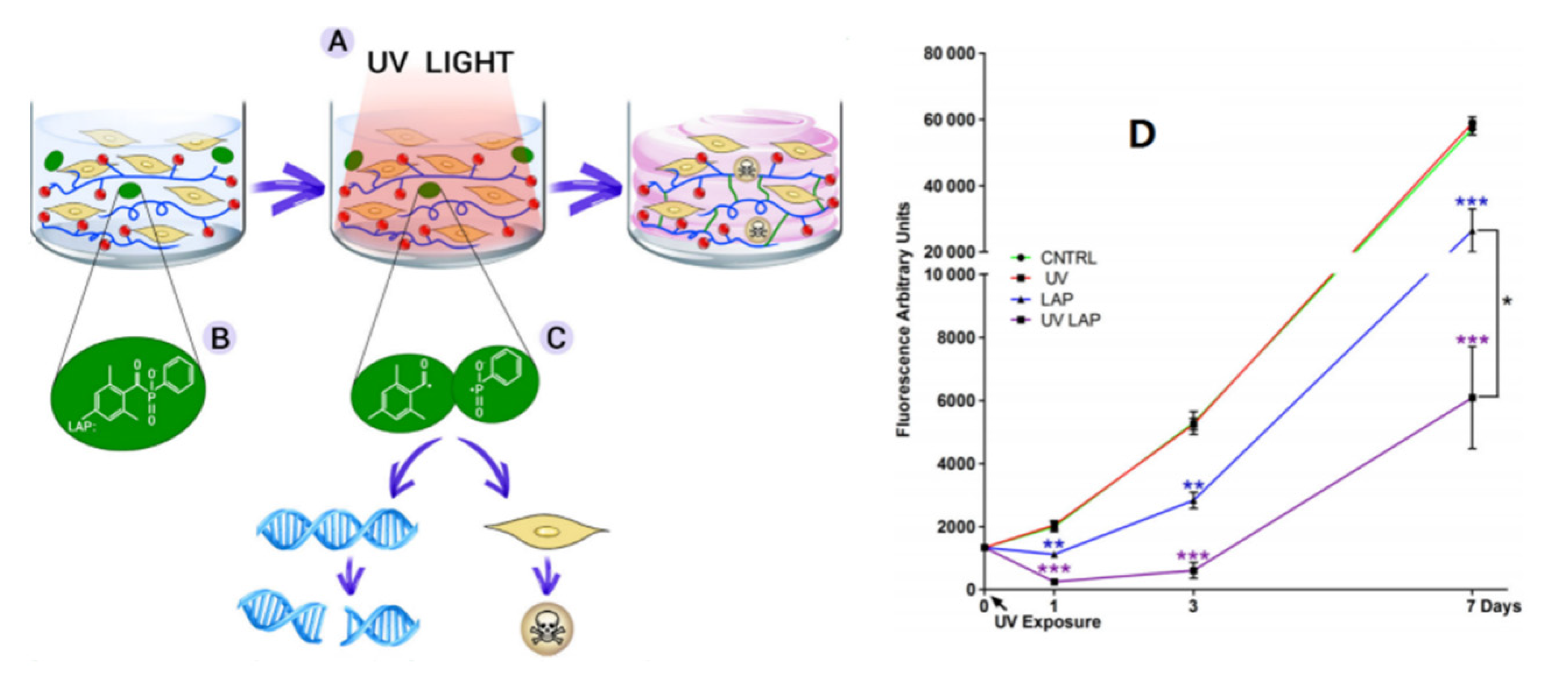 Micromachines 13 01038 g005