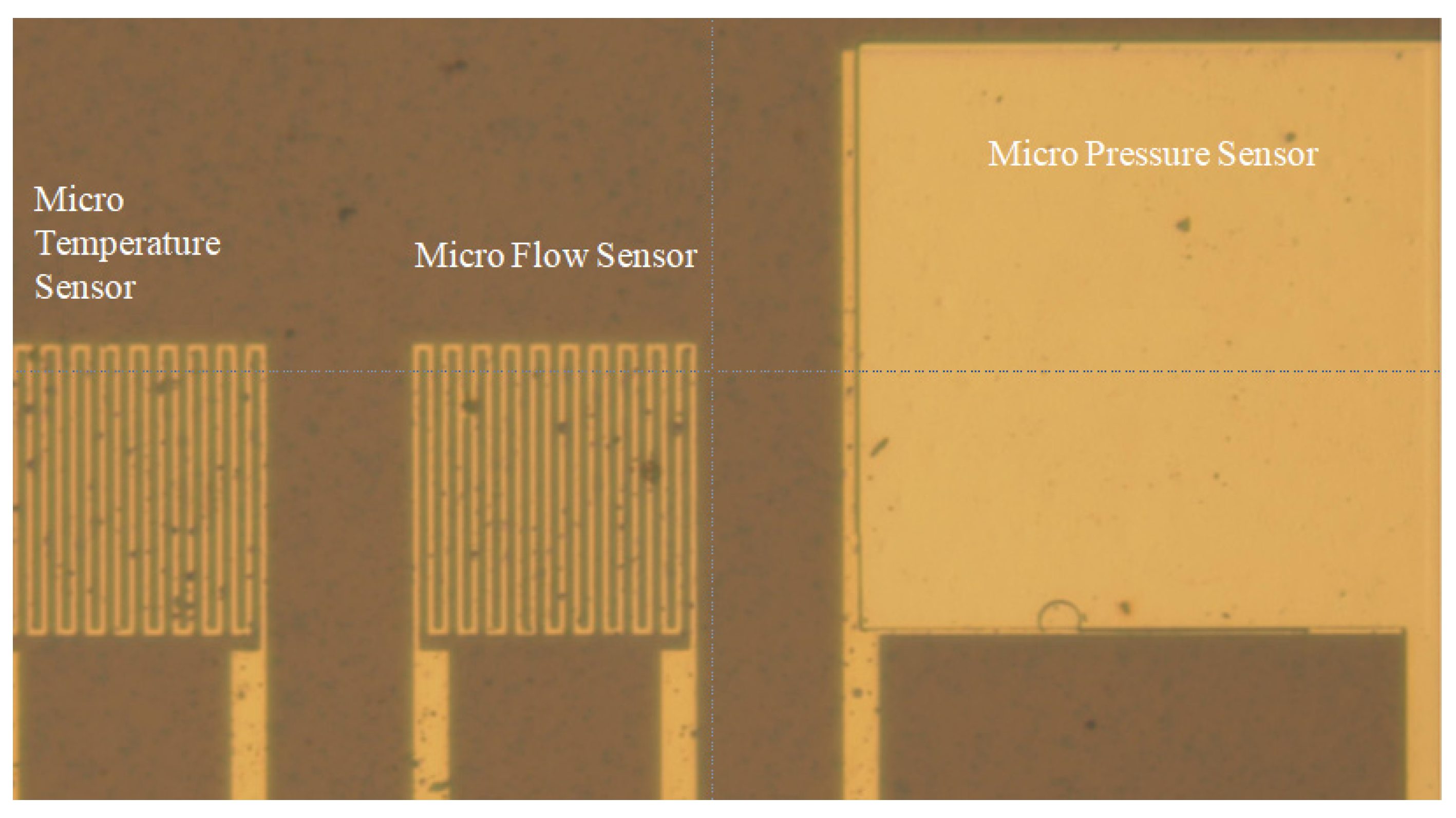 Micromachines 13 01040 g002