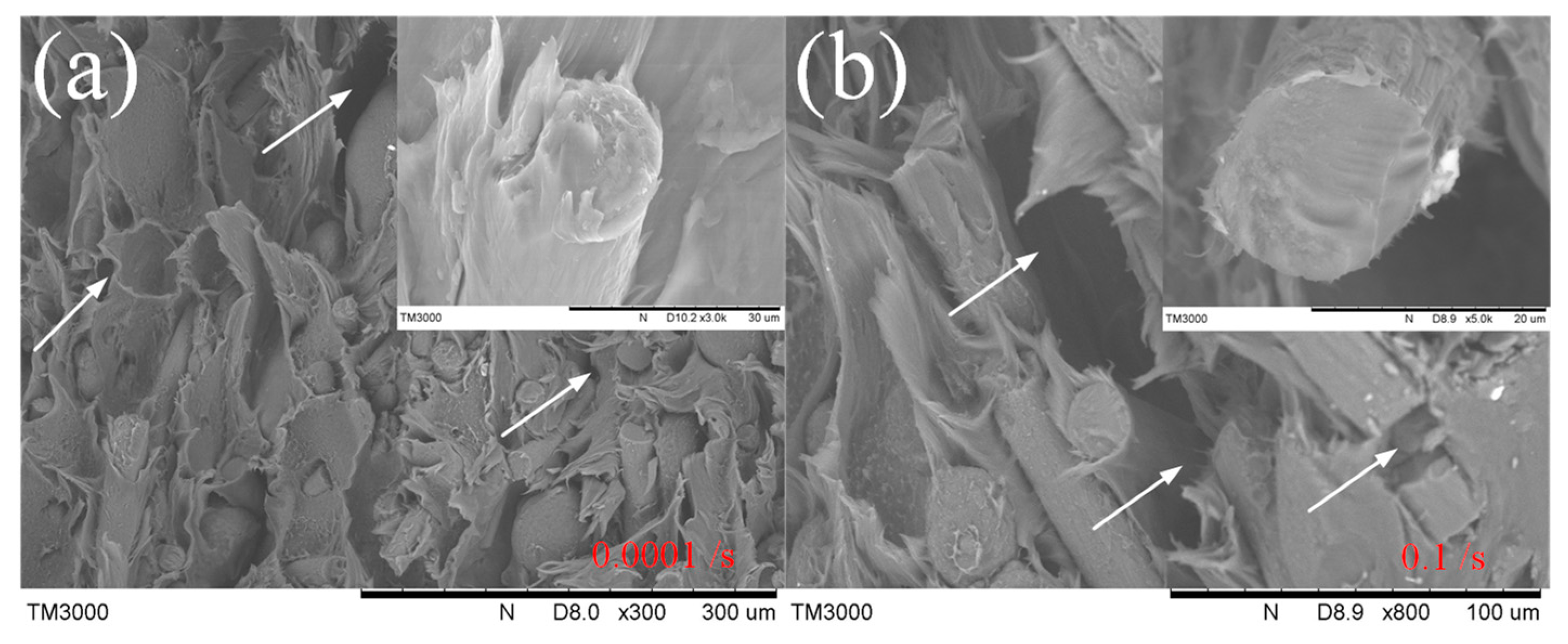 Micromachines 13 01041 g012
