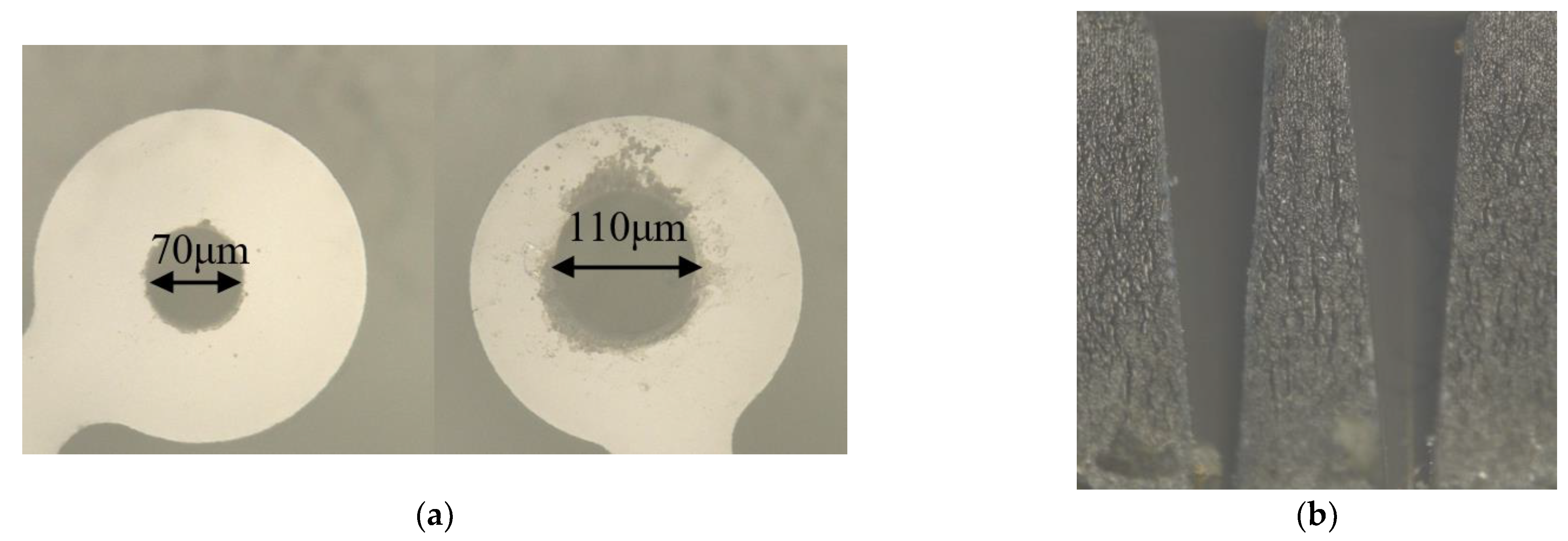 Micromachines 13 01052 g009