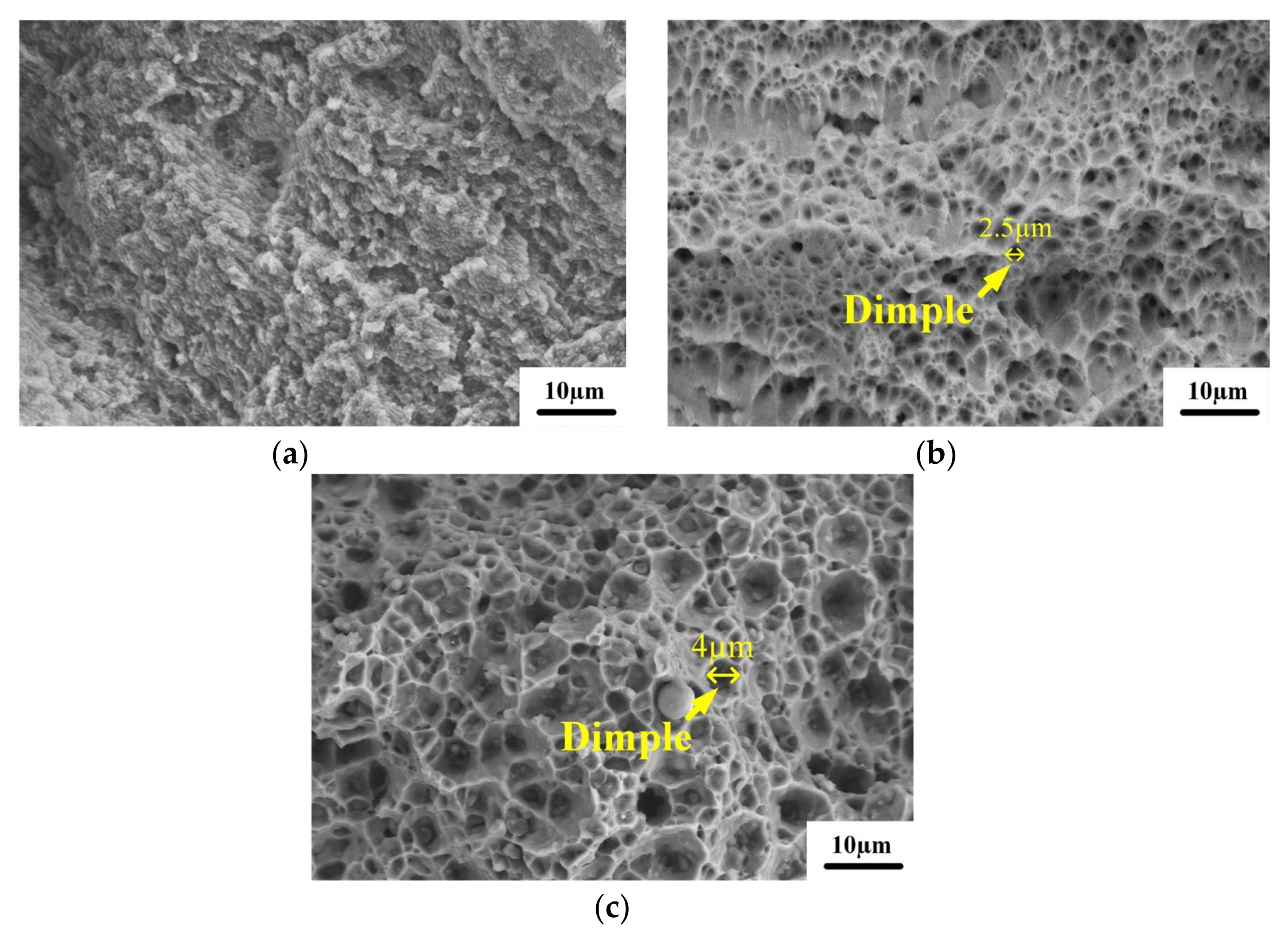 Micromachines 13 01059 g012