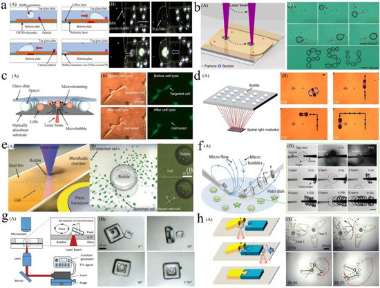Micromachines 13 01068 g010