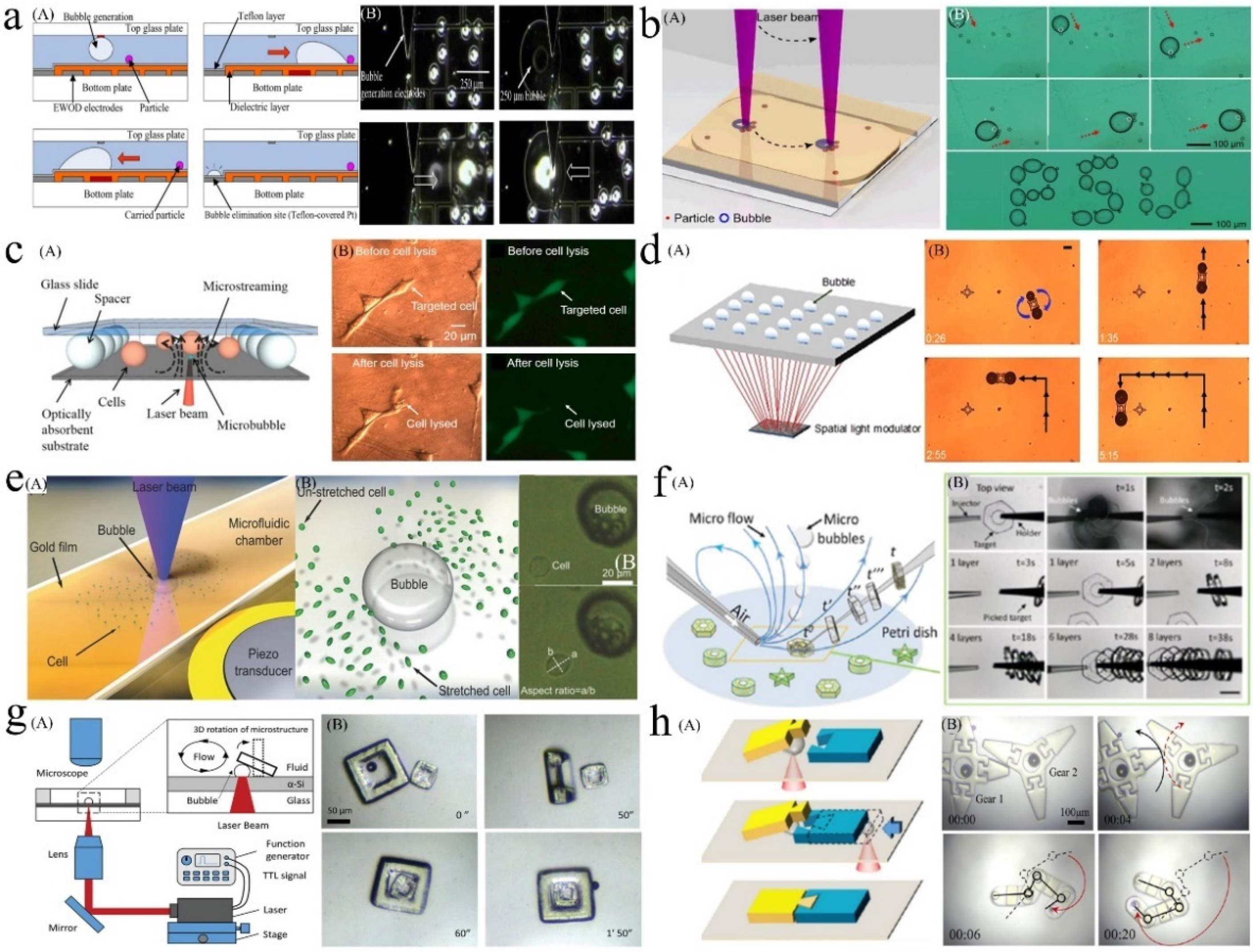 Micromachines 13 01068 g010