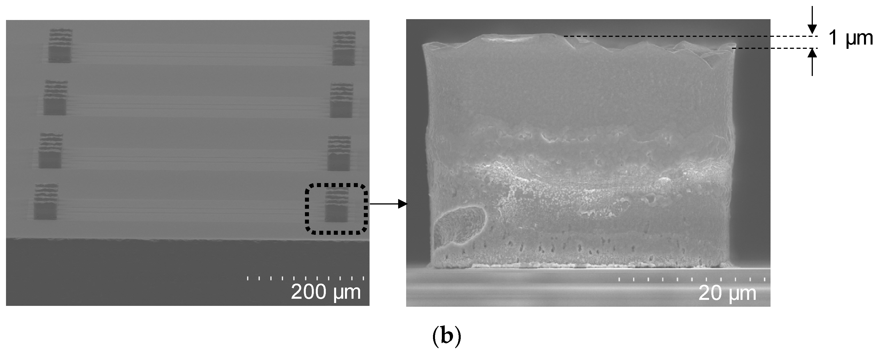 Micromachines 13 01072 g005b