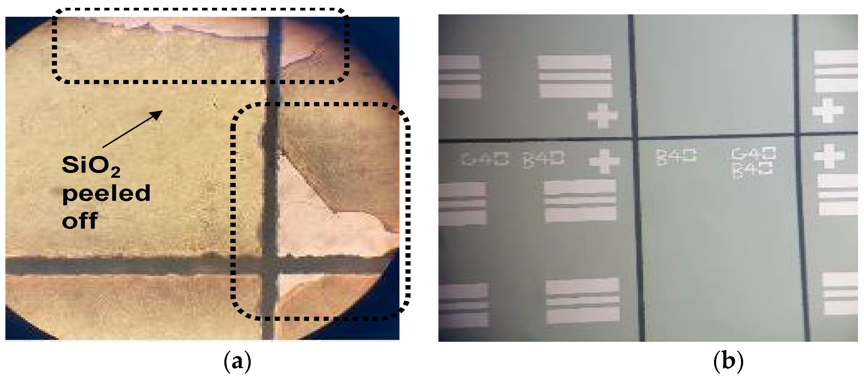 Micromachines 13 01072 g006