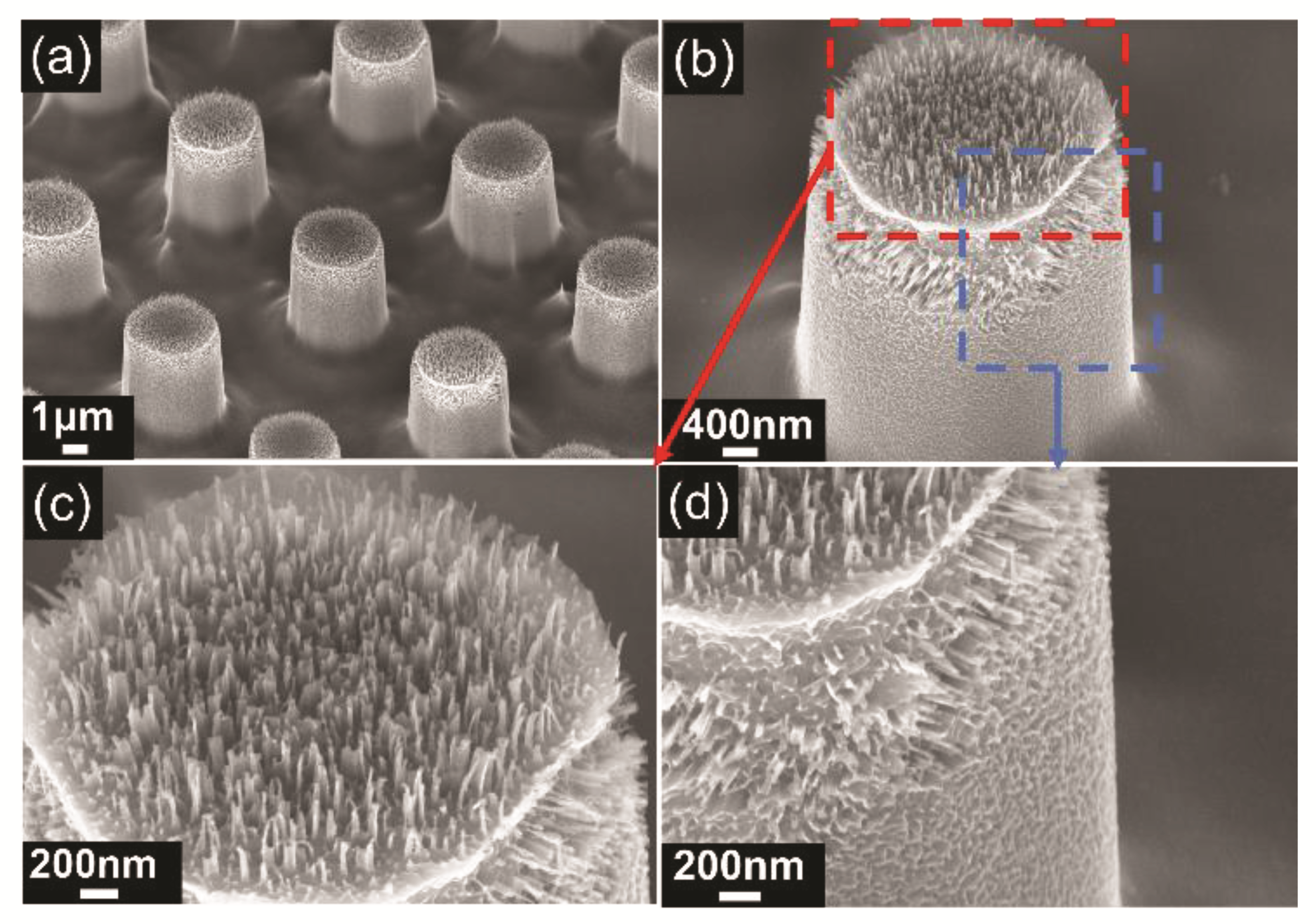 Micromachines 13 01077 g005