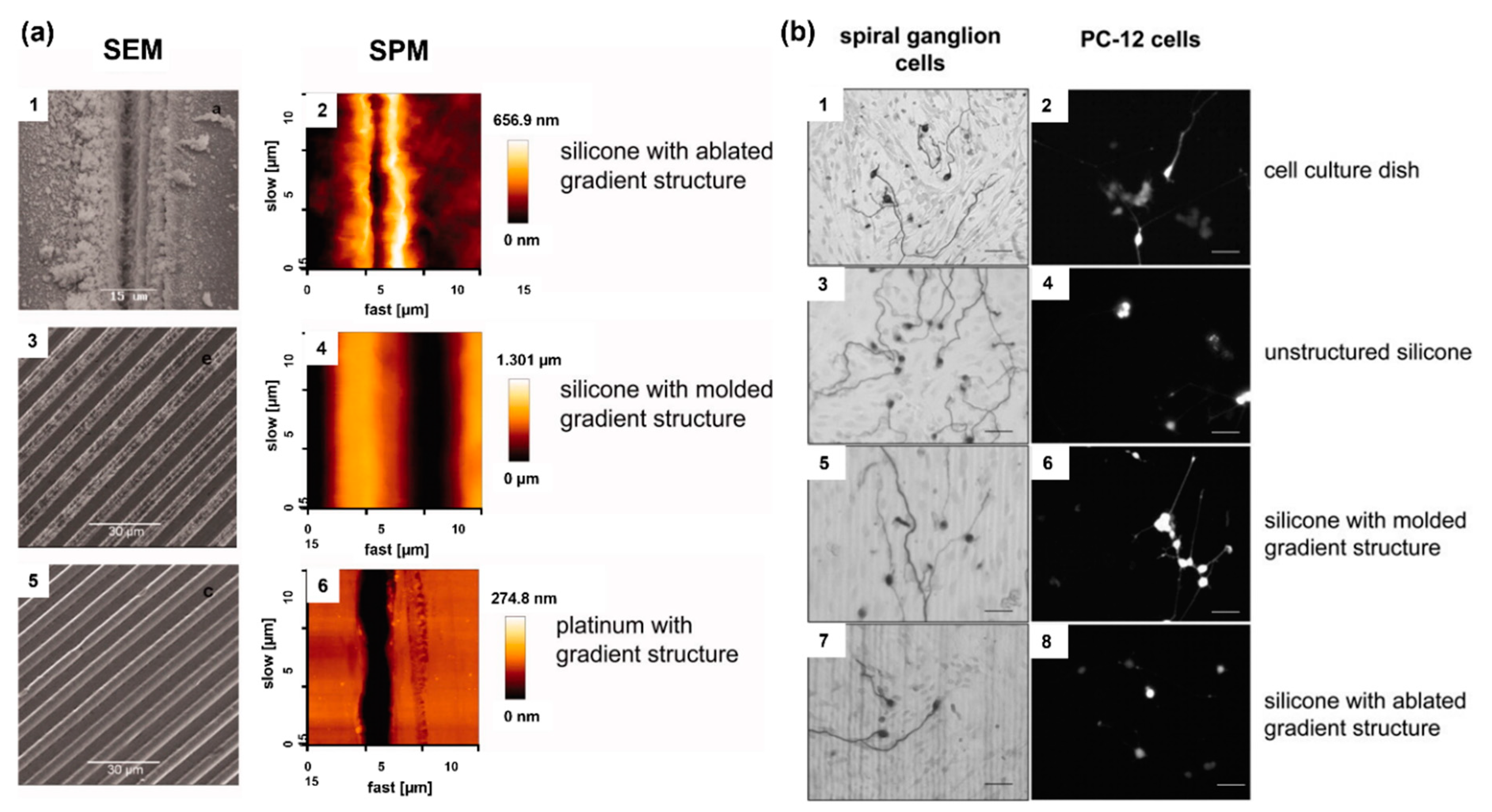 Micromachines 13 01081 g001 Micromachines 13 01081 g001